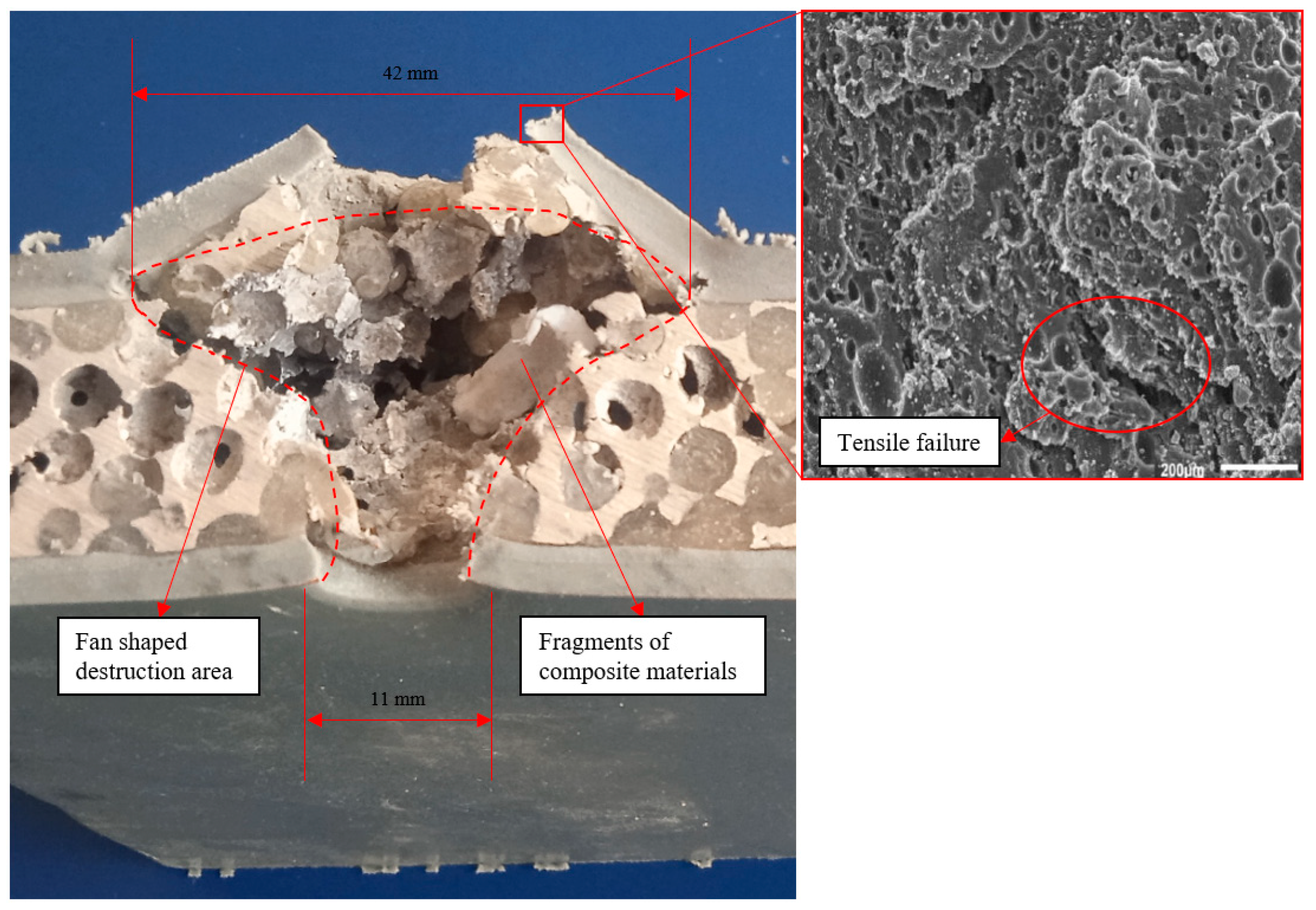 Polymers 16 03286 g006