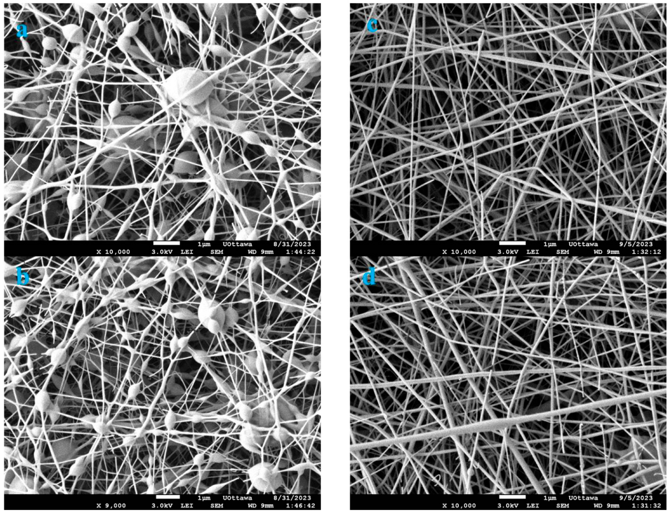 Polymers 16 03297 g007 Polymers 16 03297 g007