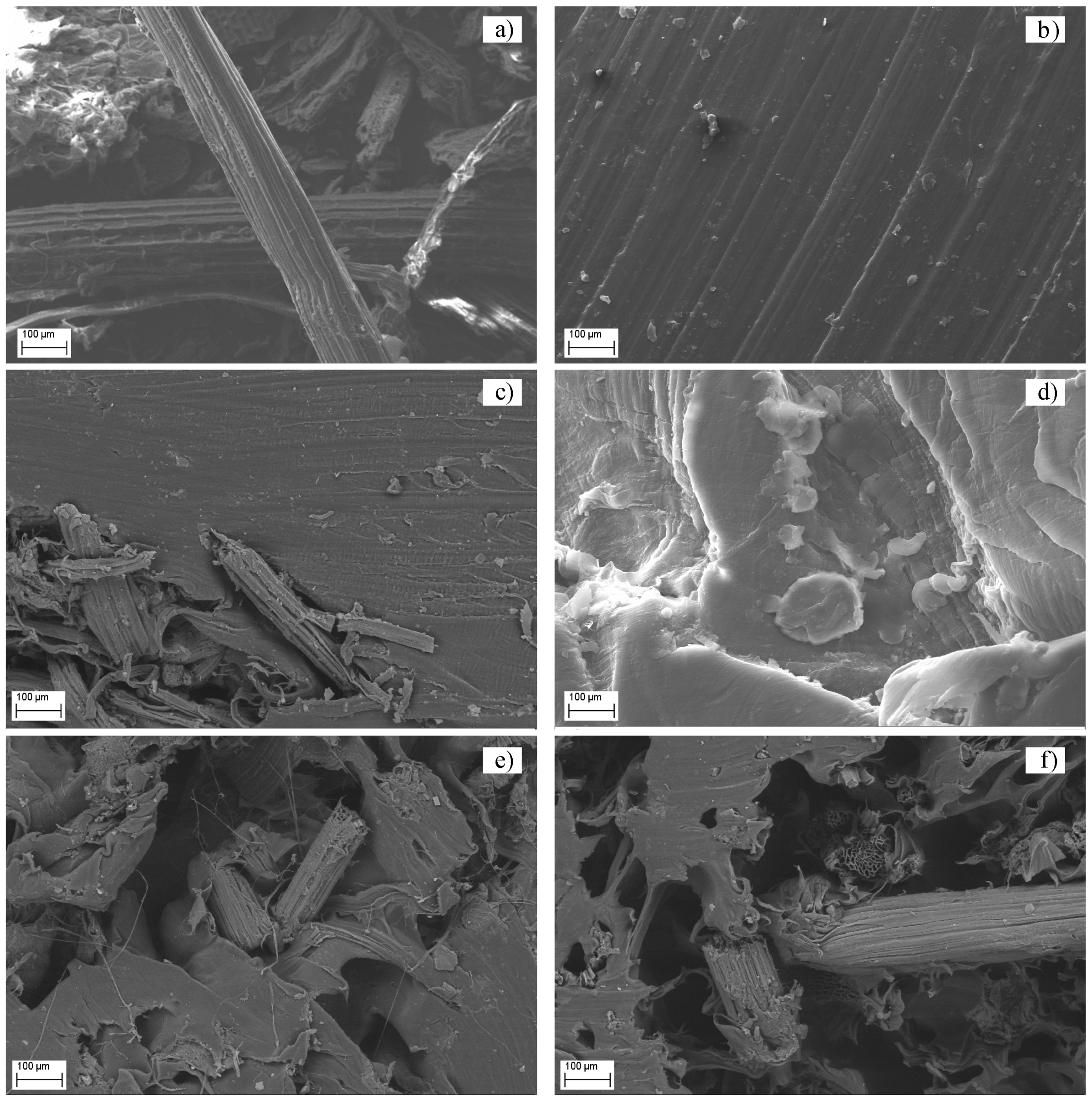 Polymers 16 03299 g005