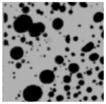 Polymers 16 03300 i004