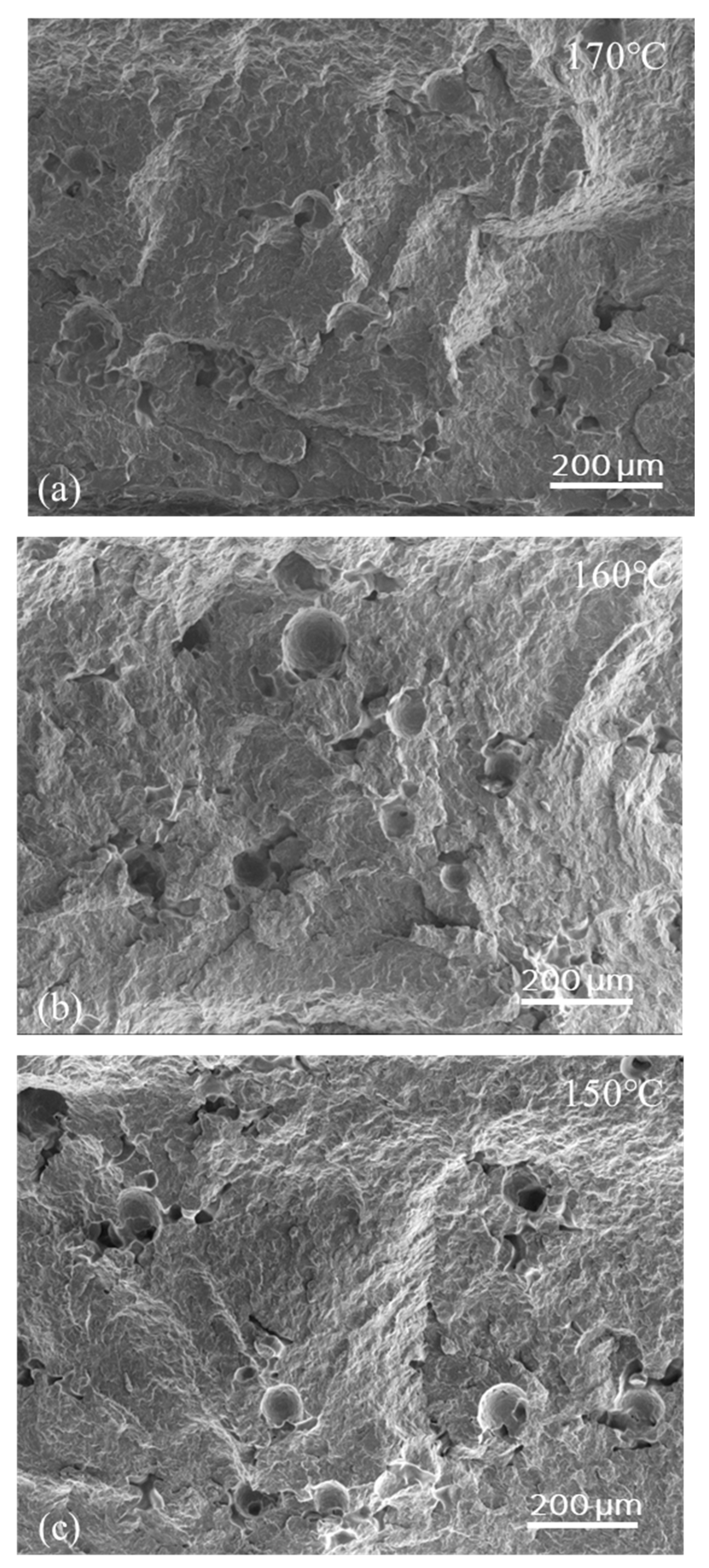 Polymers 16 03301 g007