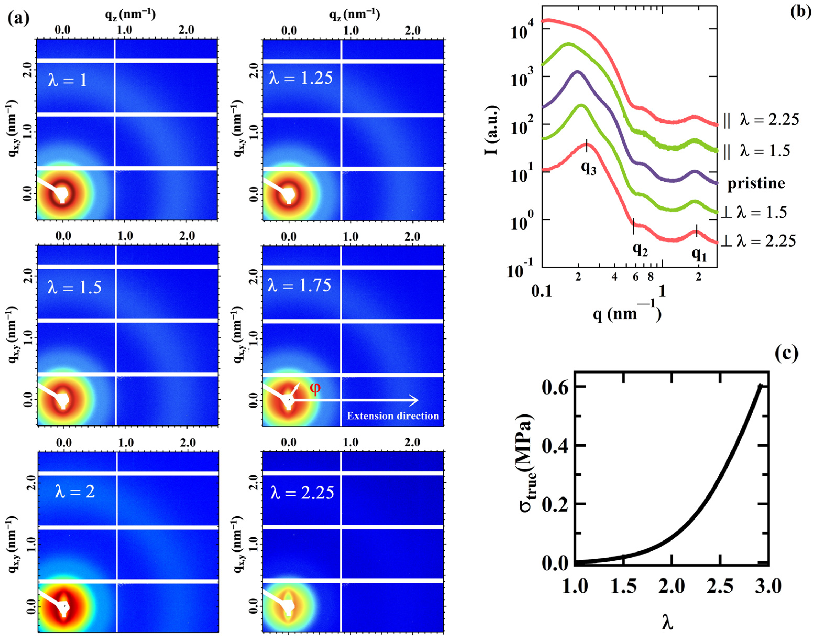 Polymers 16 03309 g001