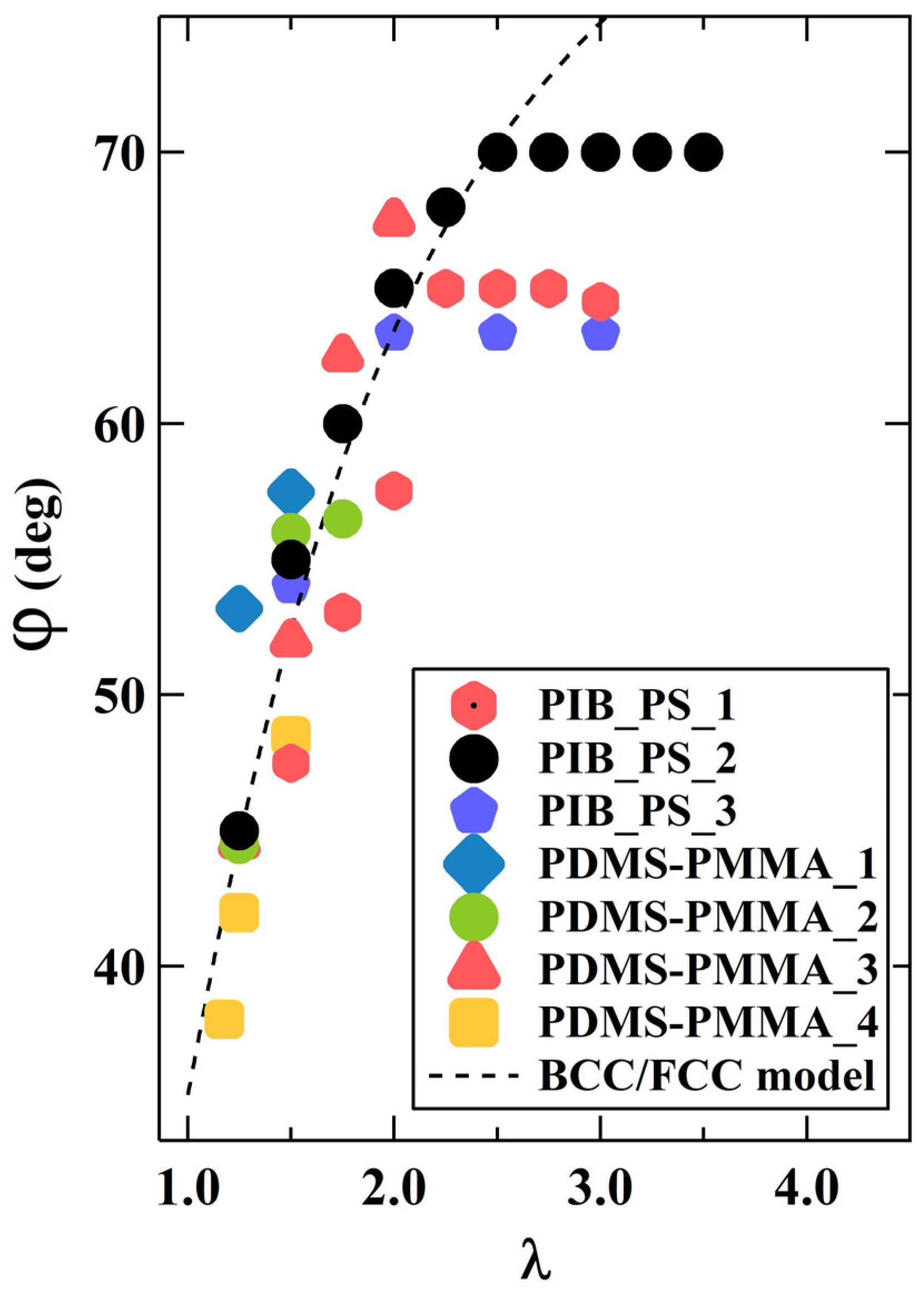 Polymers 16 03309 g006