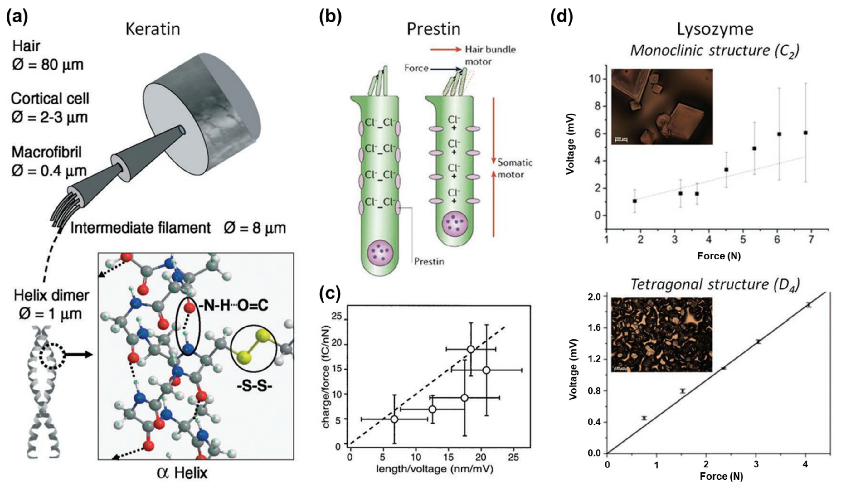 Polymers 16 03314 g003