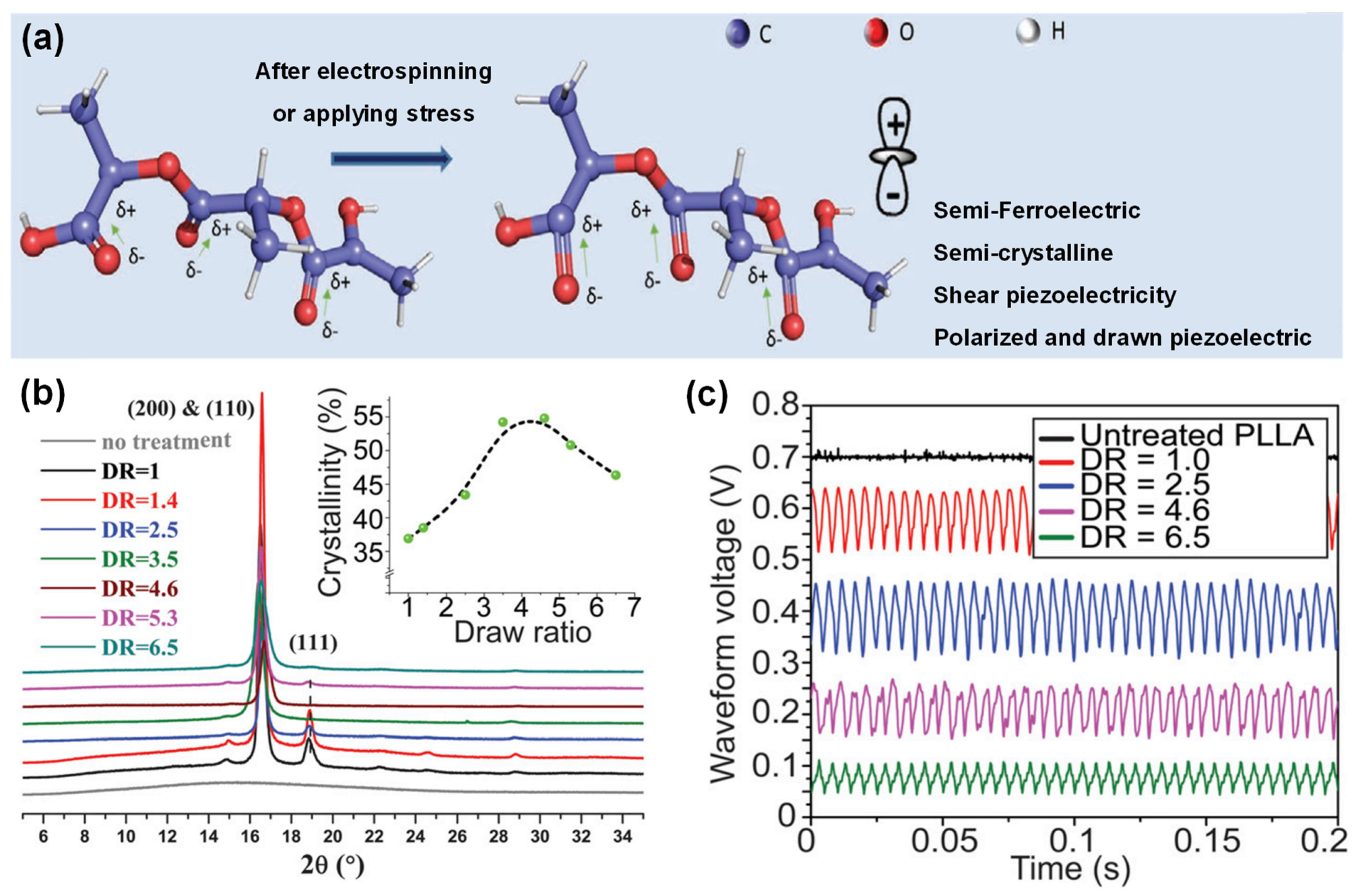 Polymers 16 03314 g004