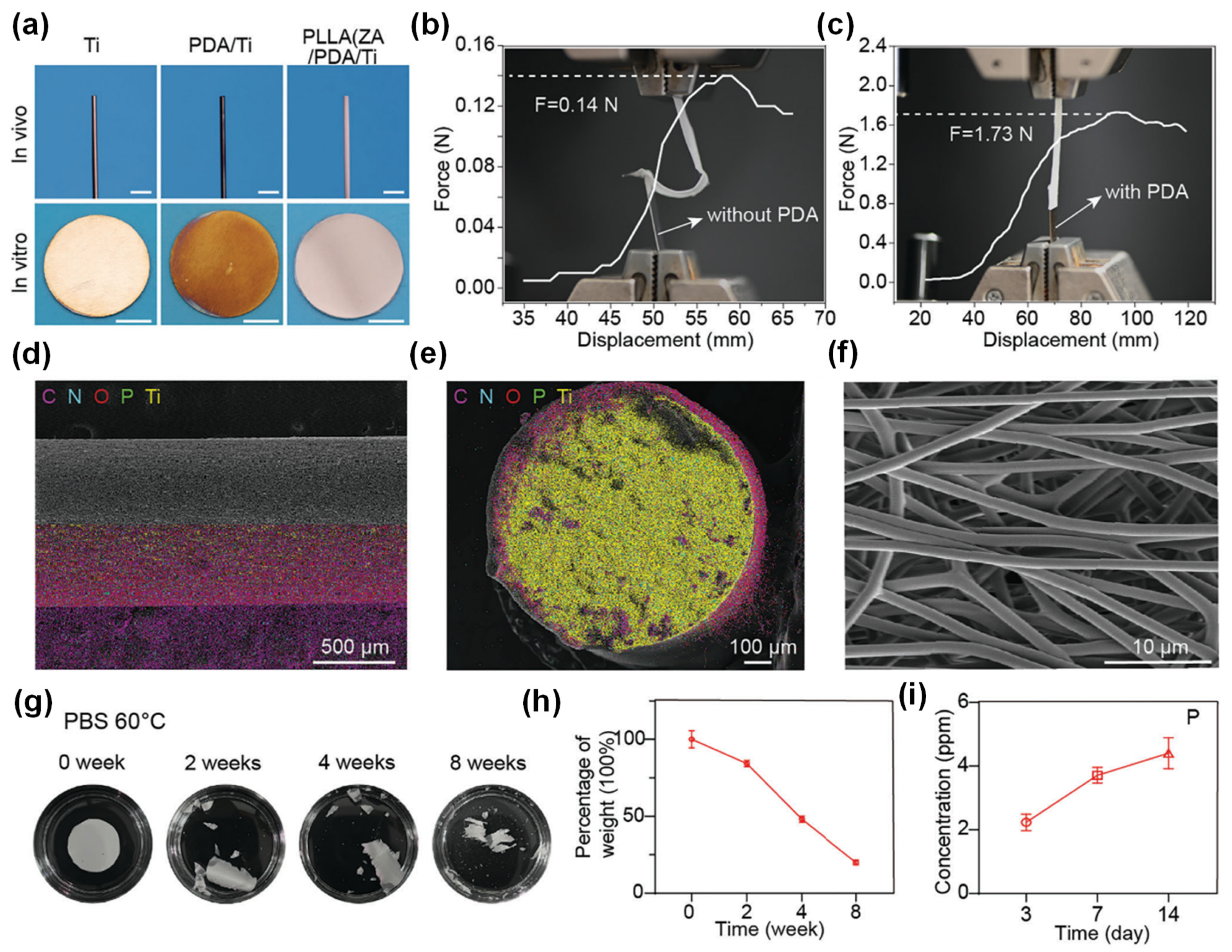 Polymers 16 03314 g006