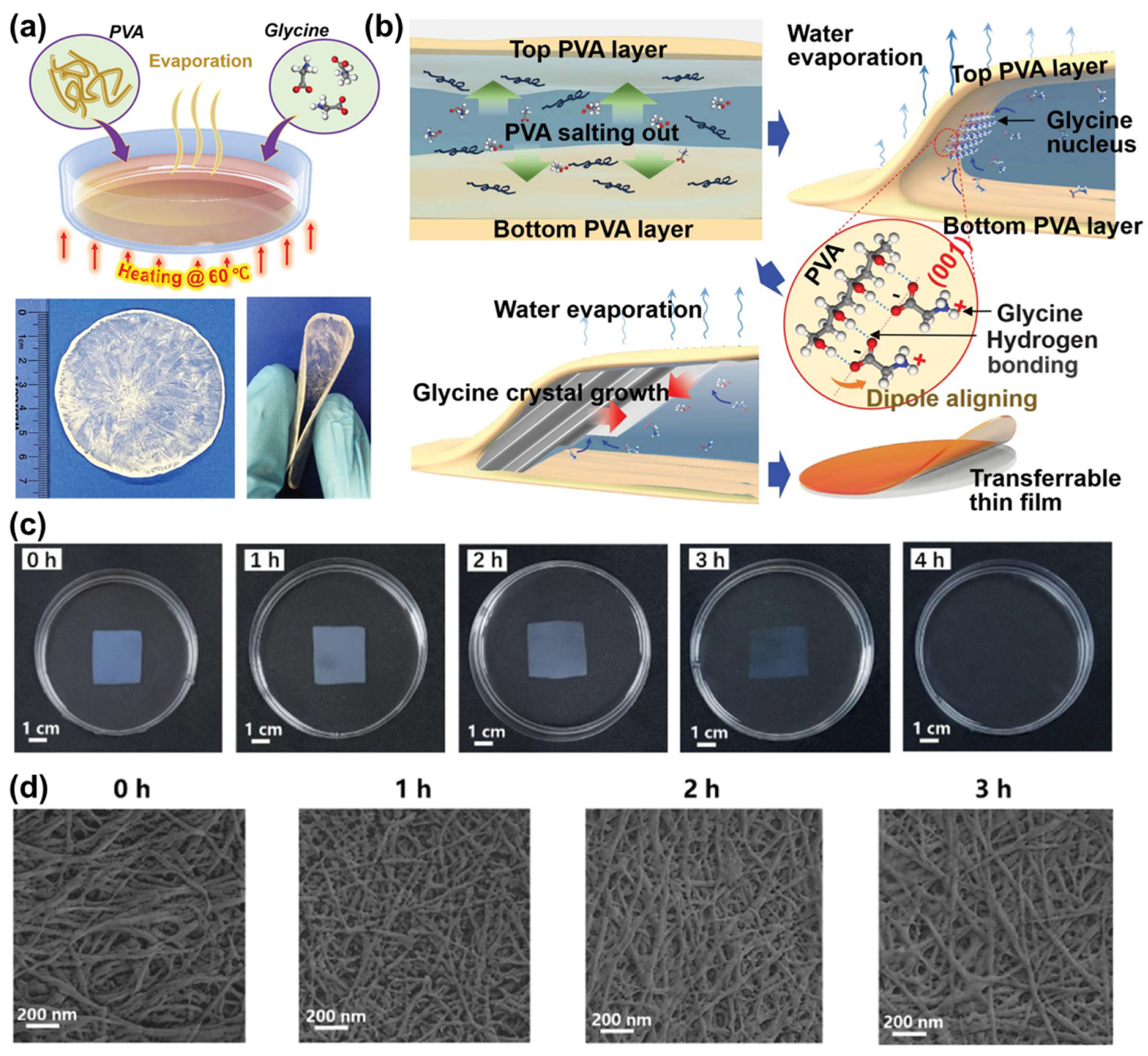 Polymers 16 03314 g009