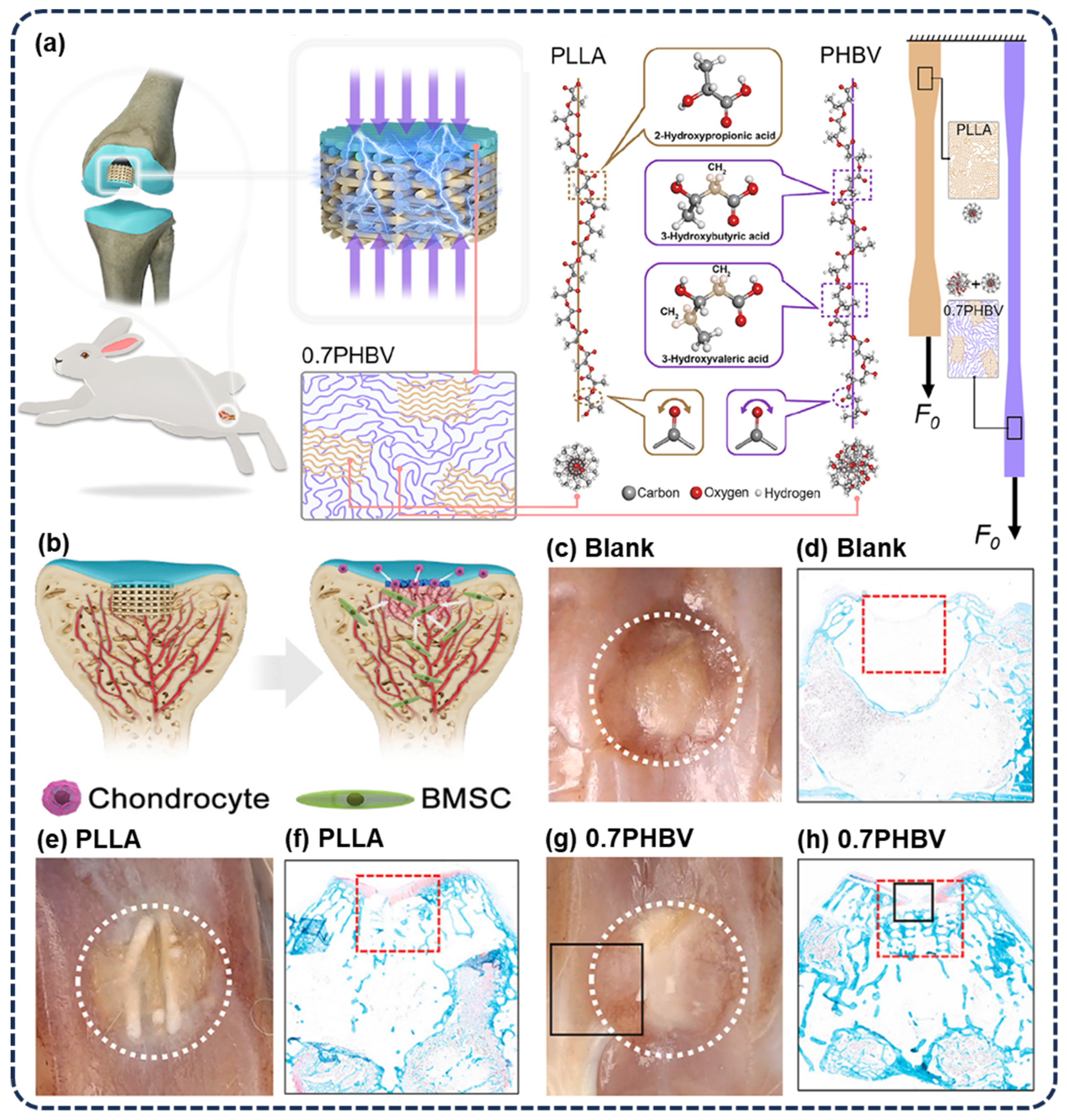 Polymers 16 03314 g010