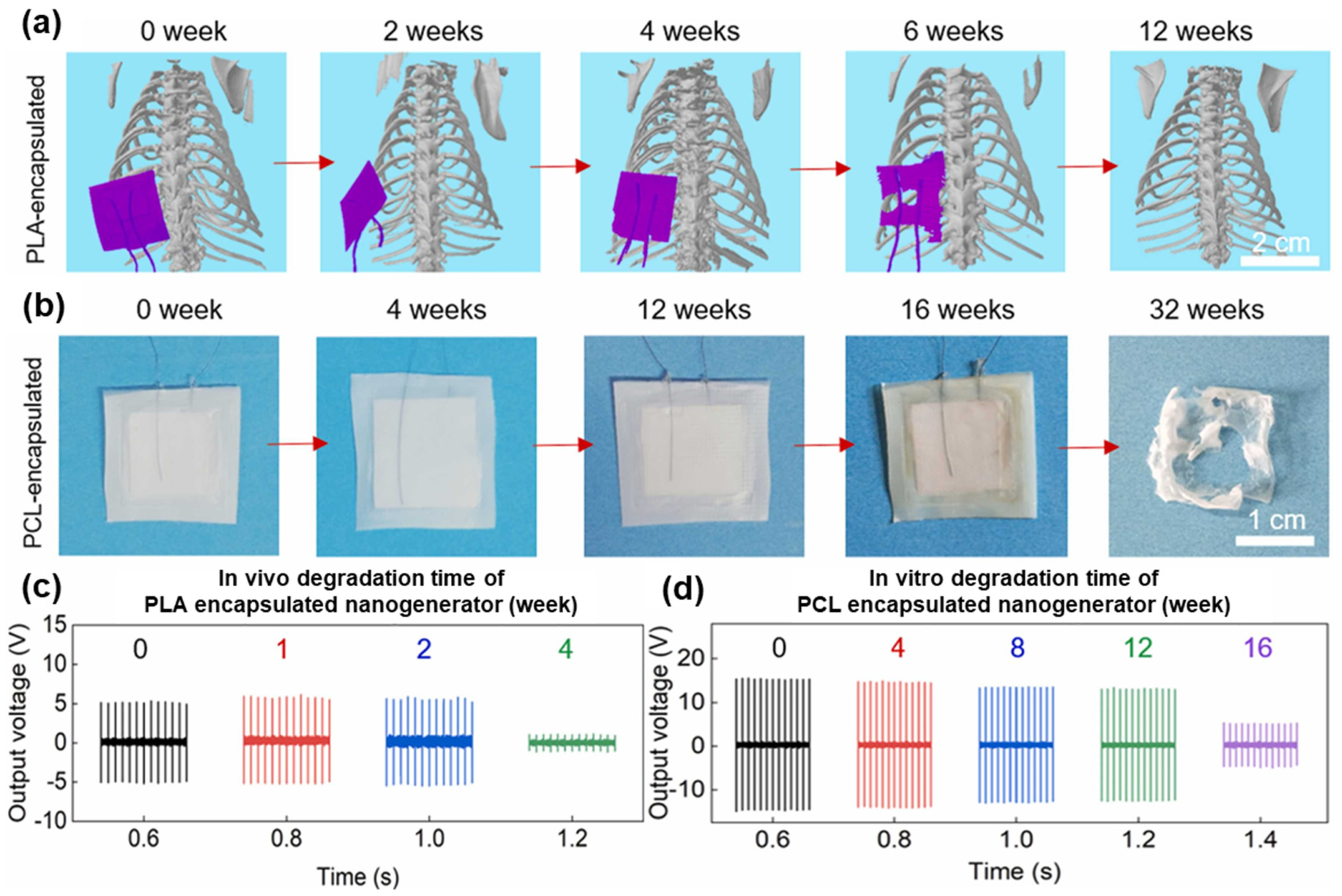 Polymers 16 03314 g011