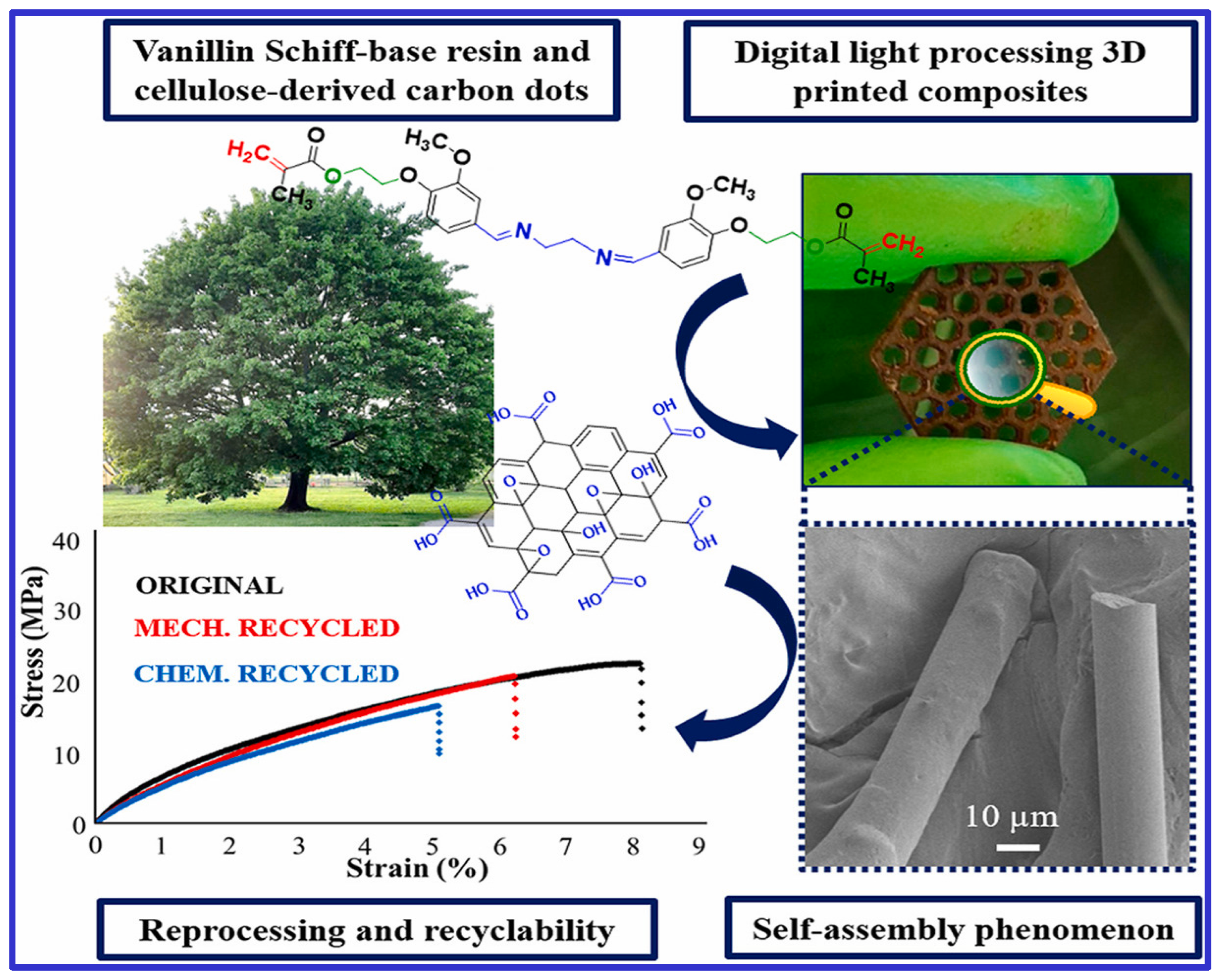 Polymers 16 03318 g001