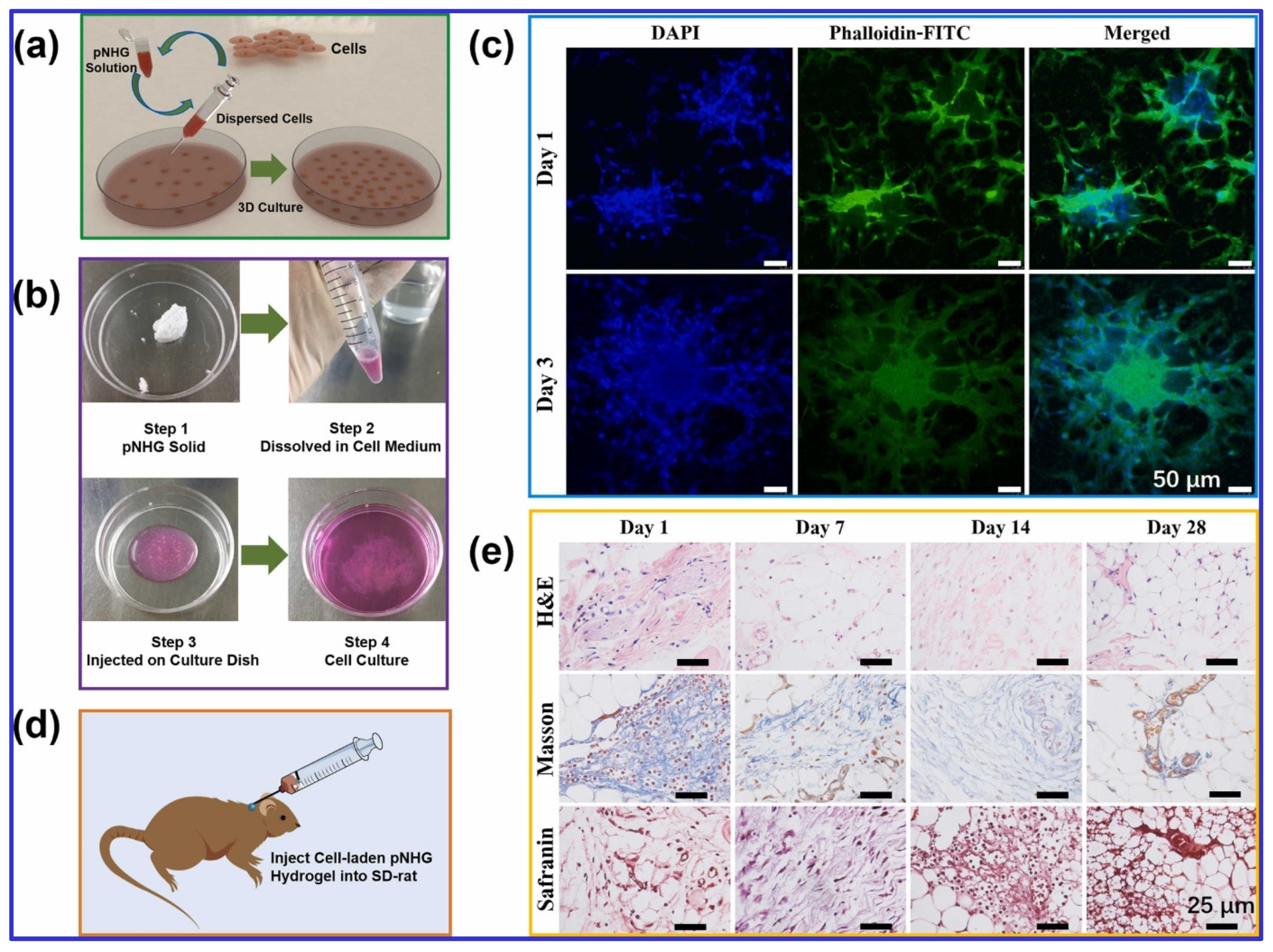 Polymers 16 03318 g002