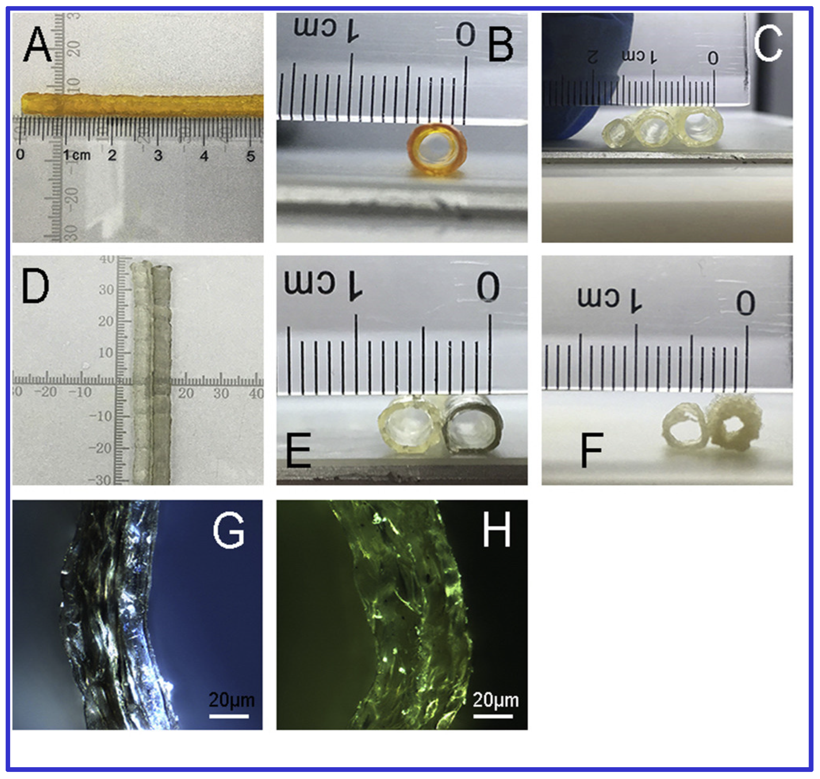 Polymers 16 03318 g003
