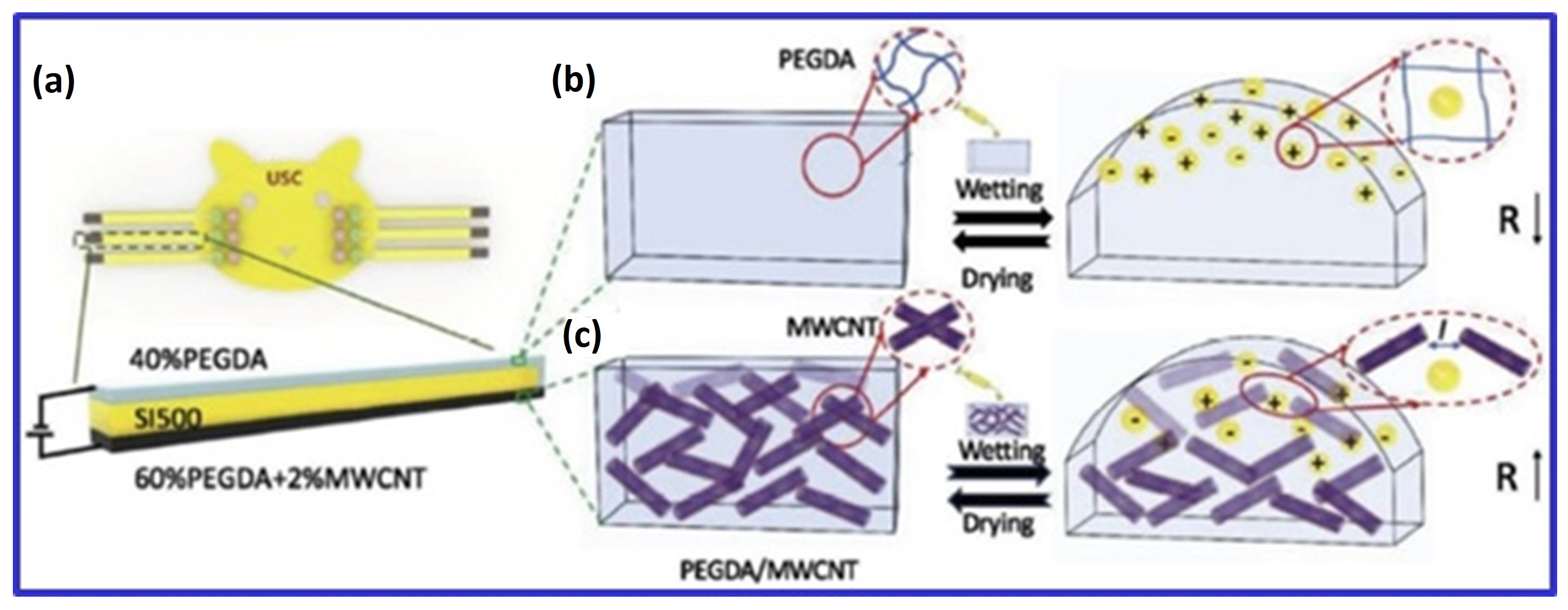 Polymers 16 03318 g004