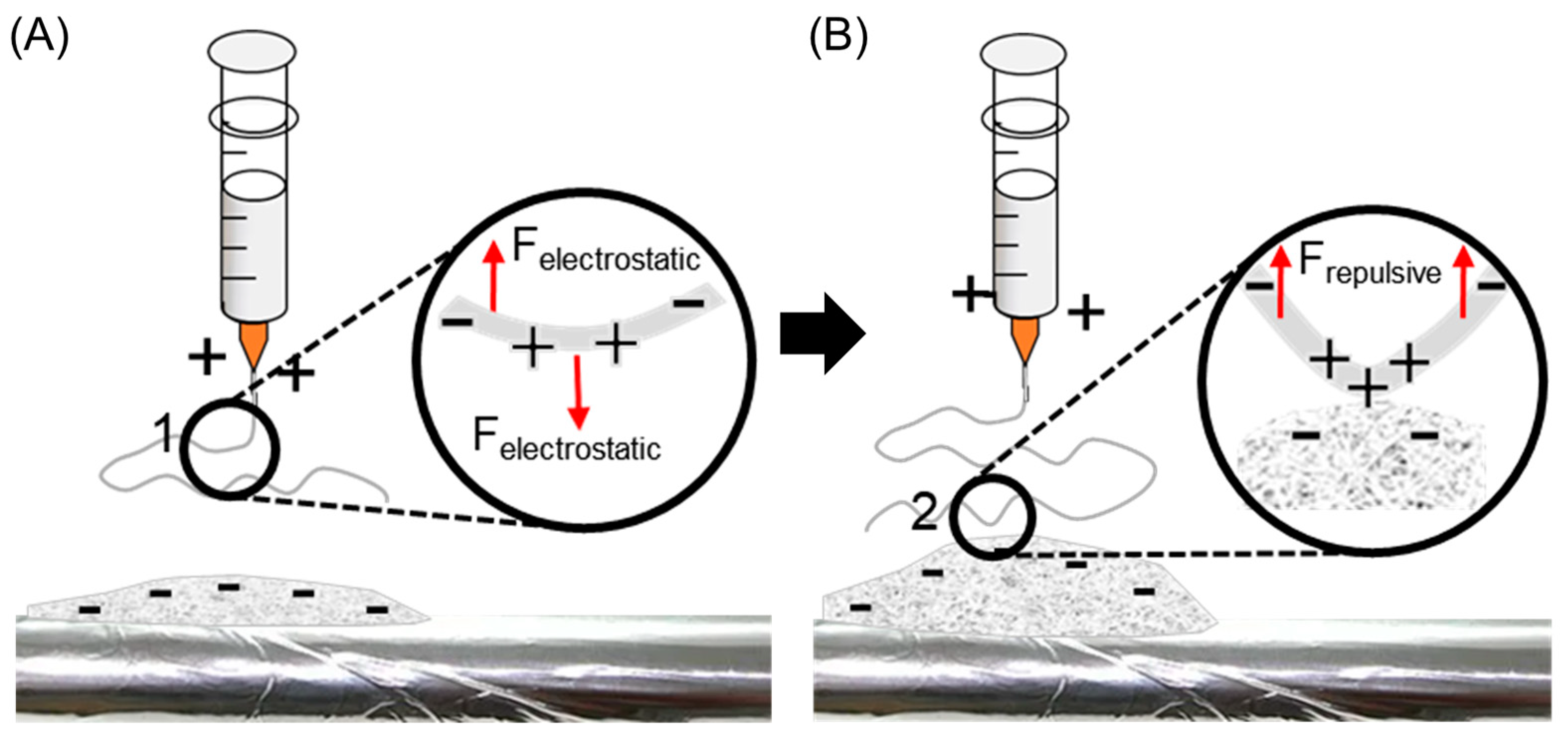 Polymers 16 03322 g002