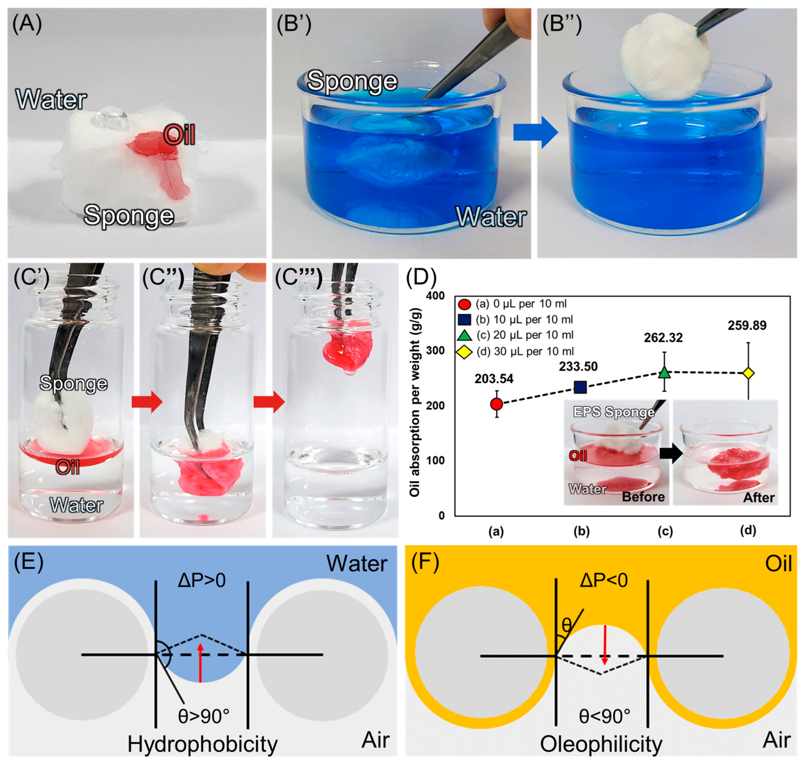 Polymers 16 03322 g006