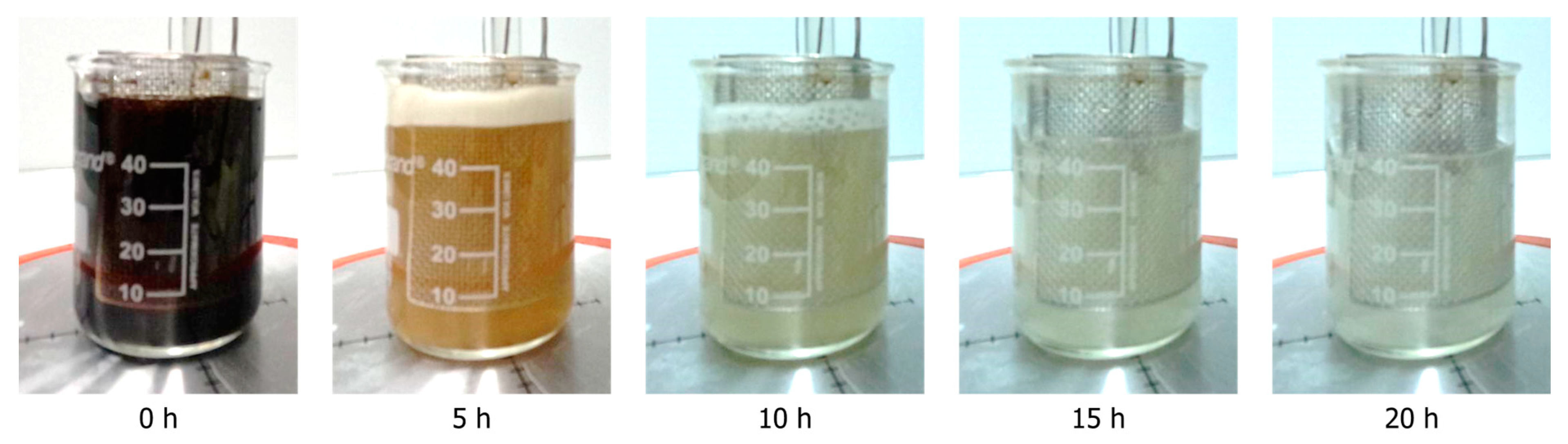 Polymers 16 03325 g001