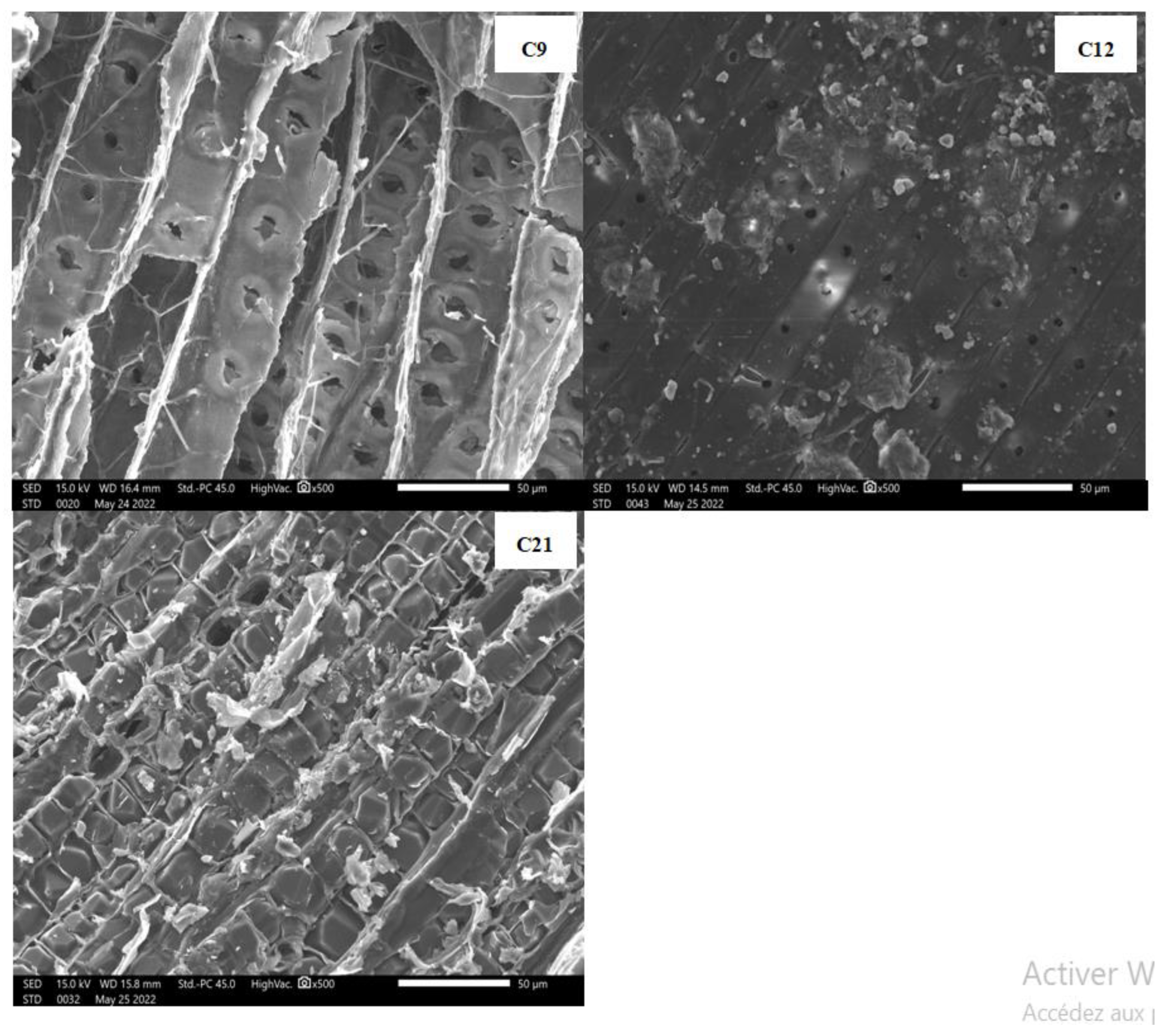 Polymers 16 03334 g009