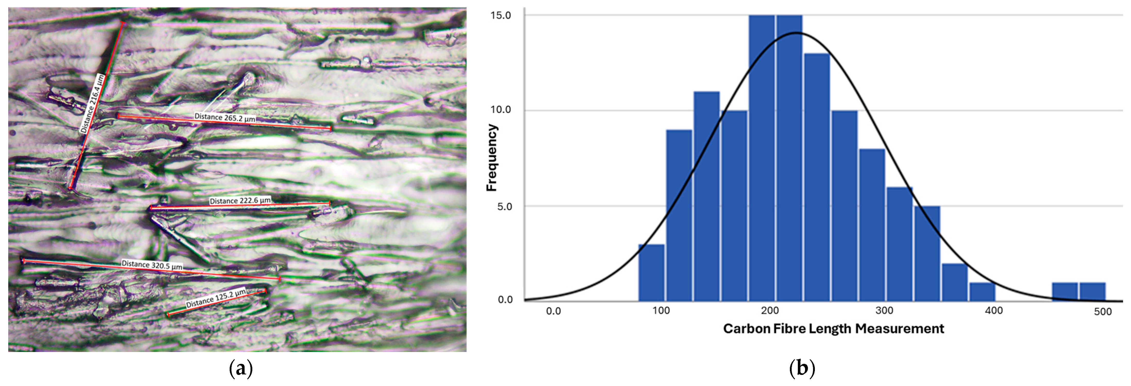 Polymers 16 03336 g002