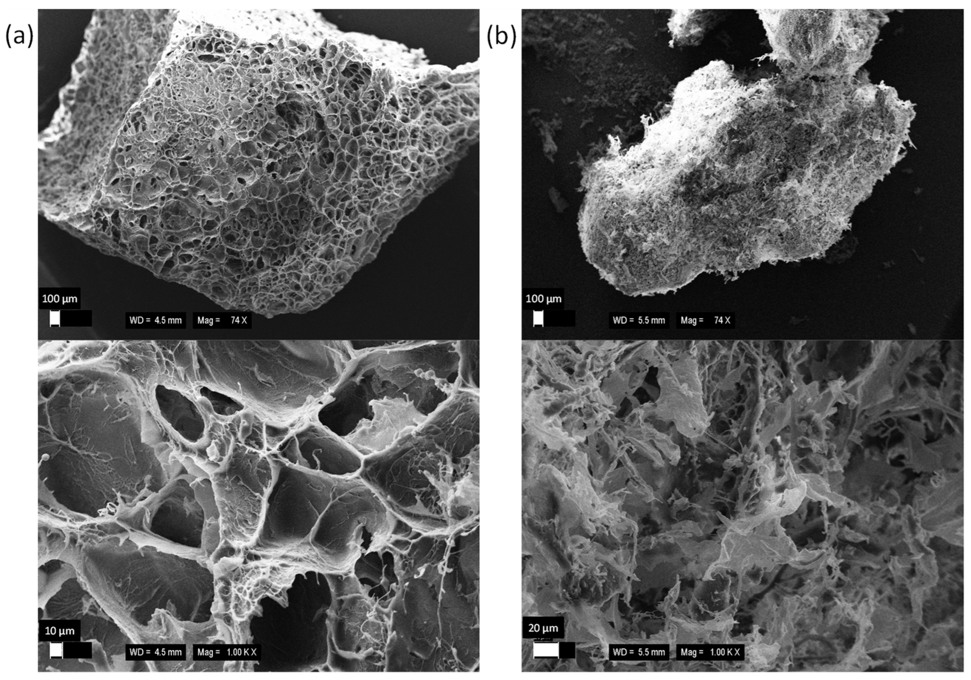 Polymers 16 03340 g002