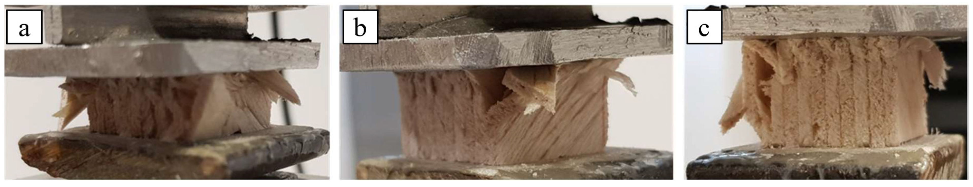 Polymers 16 03341 g006