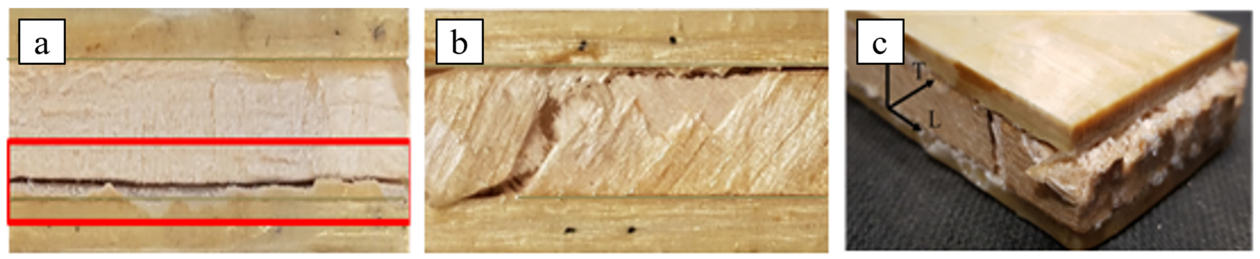 Polymers 16 03341 g008