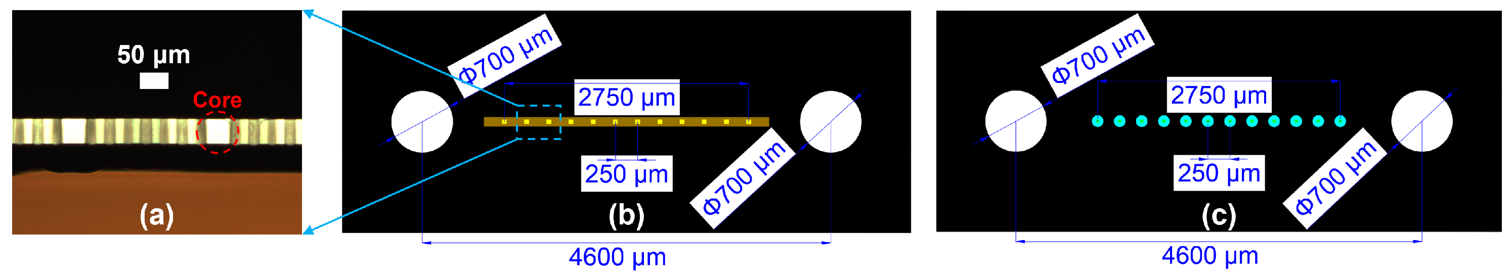 Polymers 16 03350 g002