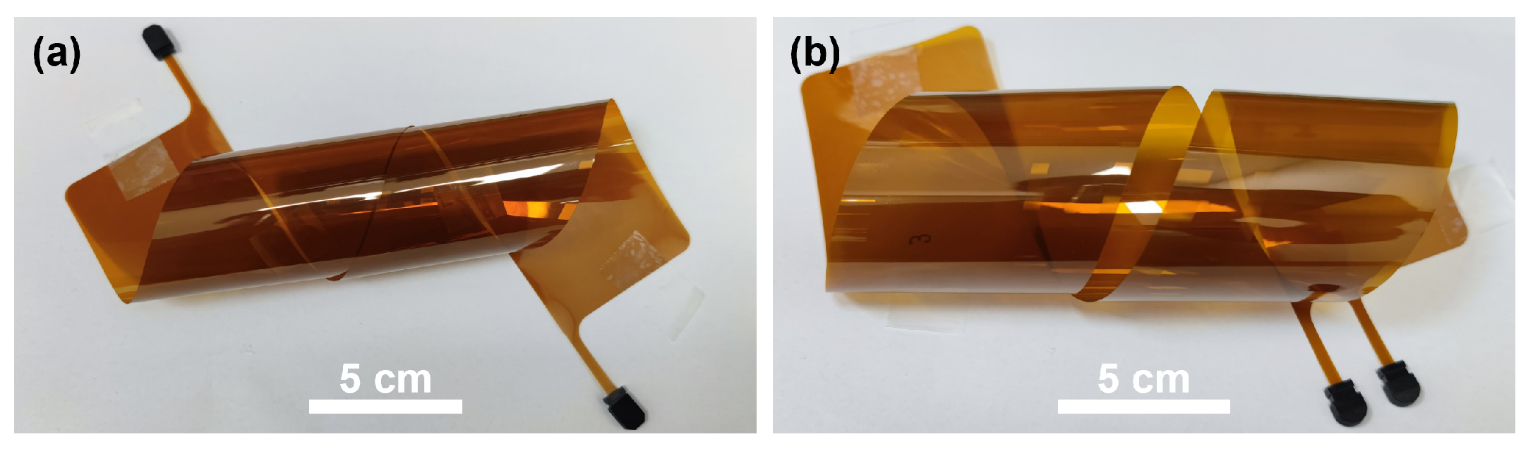 Polymers 16 03350 g004
