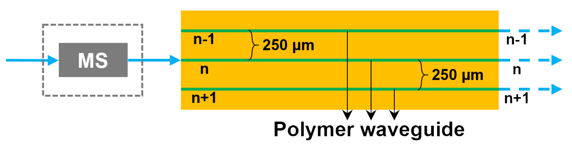 Polymers 16 03350 g007