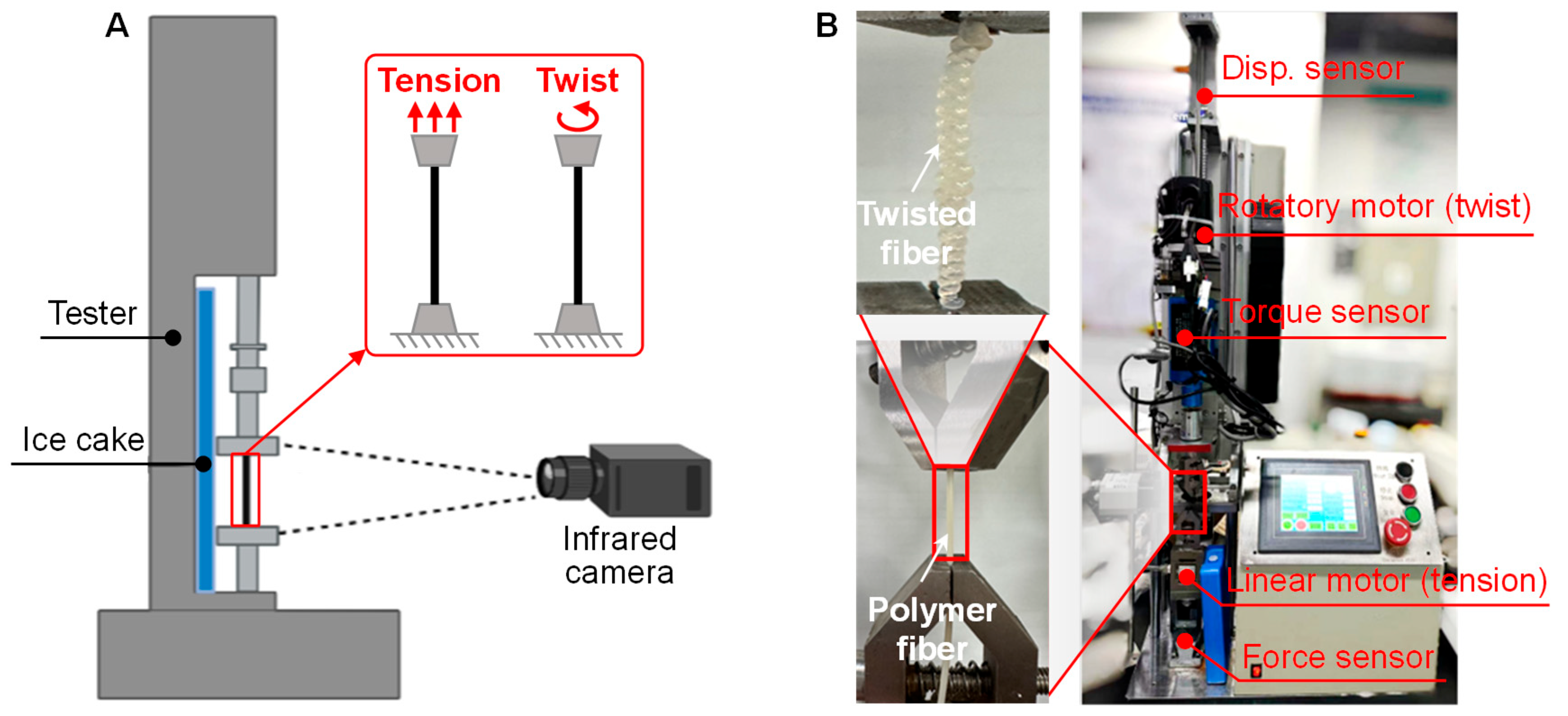 Polymers 16 03360 g003