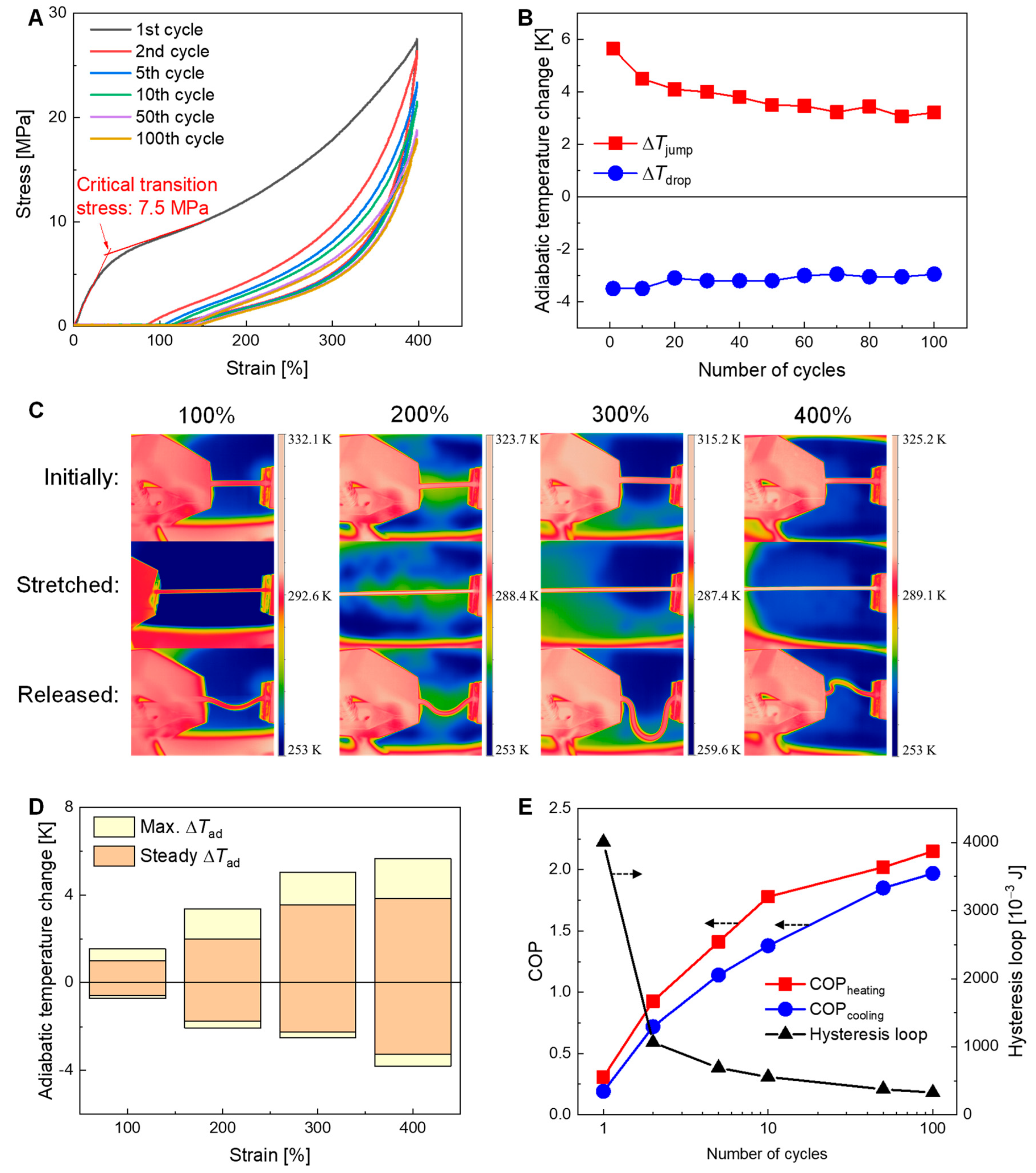 Polymers 16 03360 g004