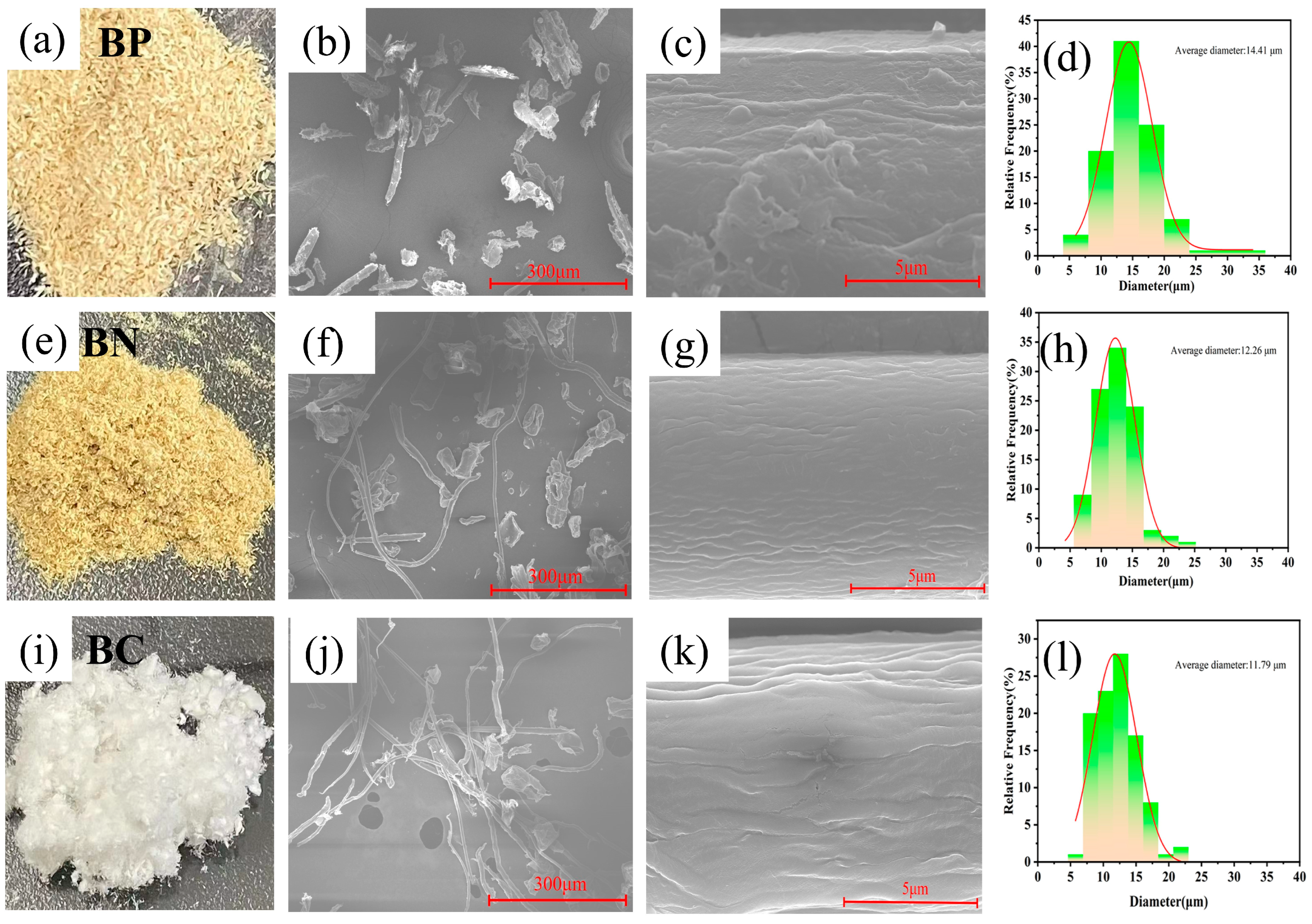 Polymers 16 03361 g003 Polymers 16 03361 g003