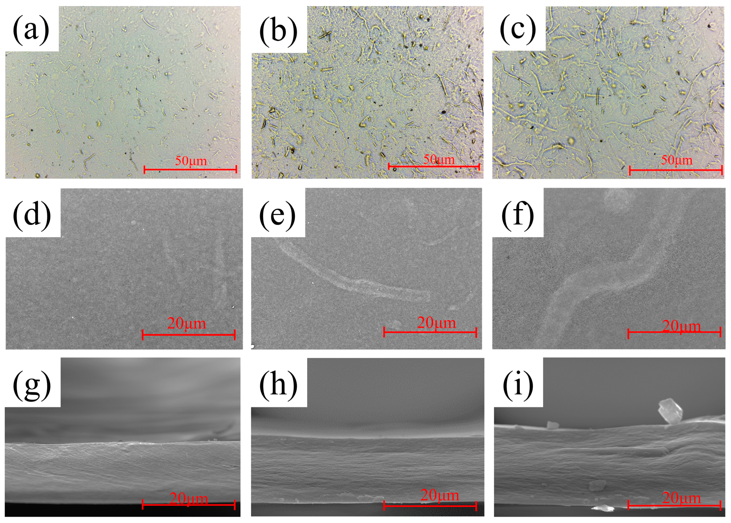 Polymers 16 03361 g004 Polymers 16 03361 g004