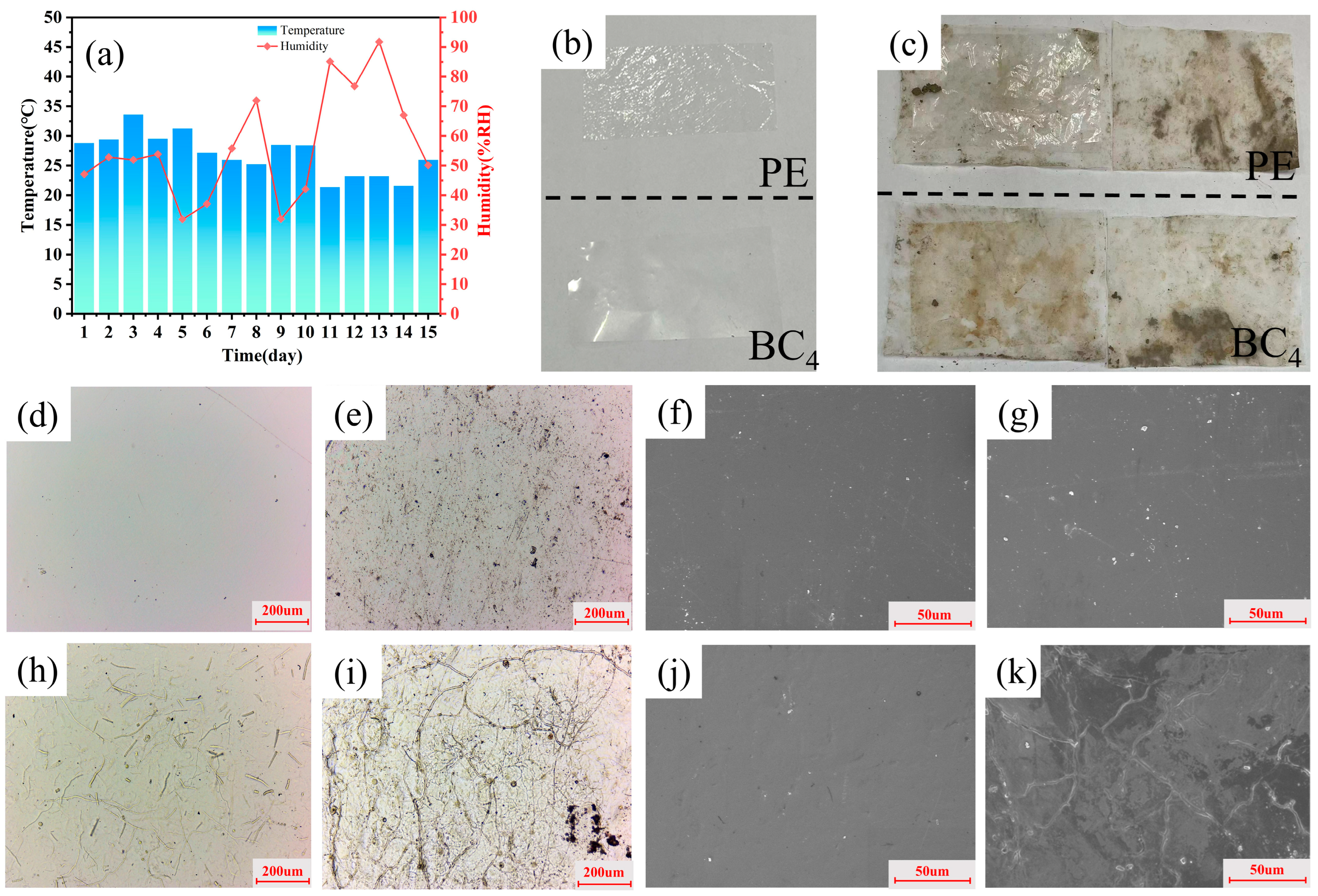 Polymers 16 03361 g008 Polymers 16 03361 g008