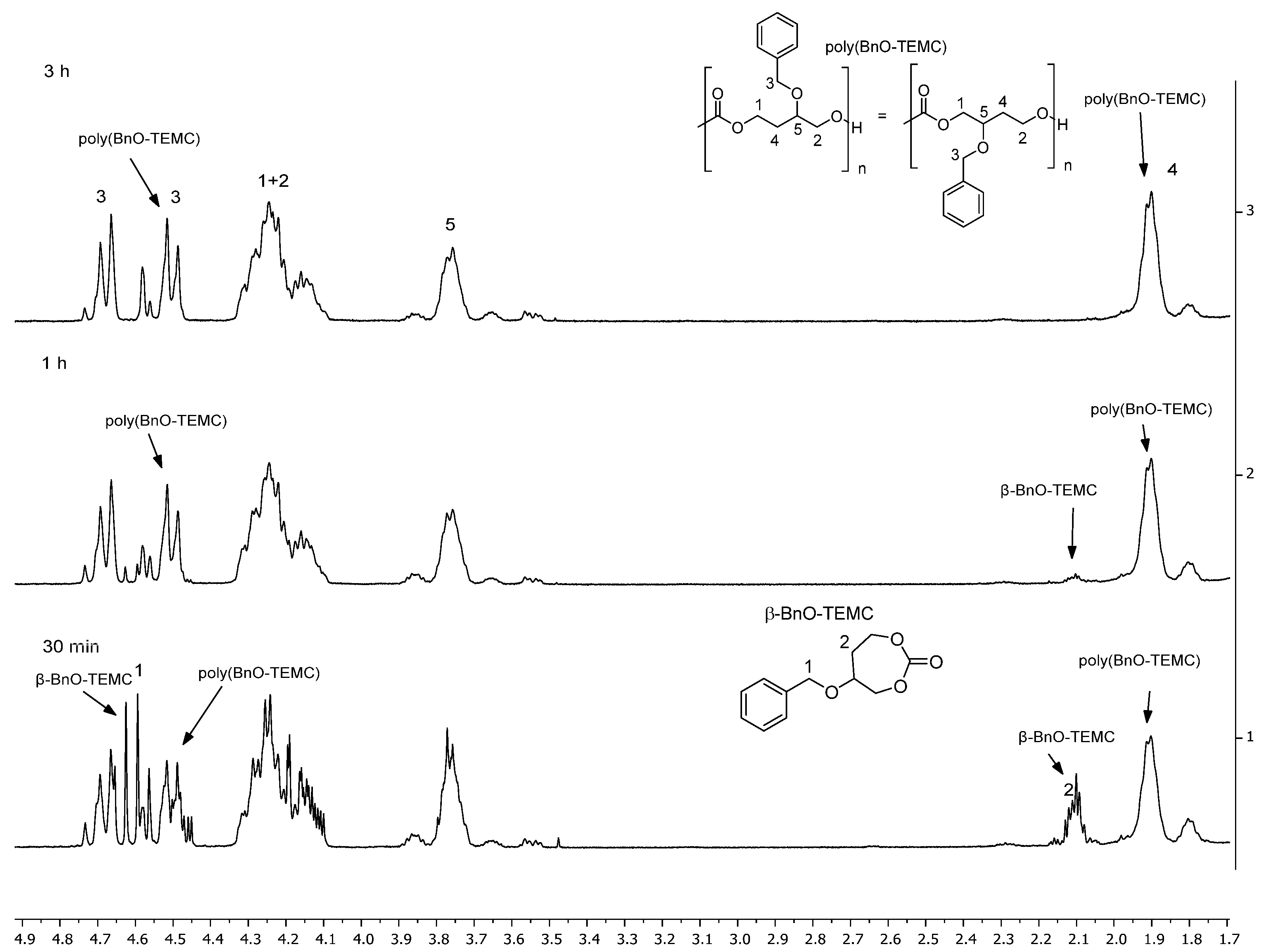 Polymers 16 03364 g002 Polymers 16 03364 g002