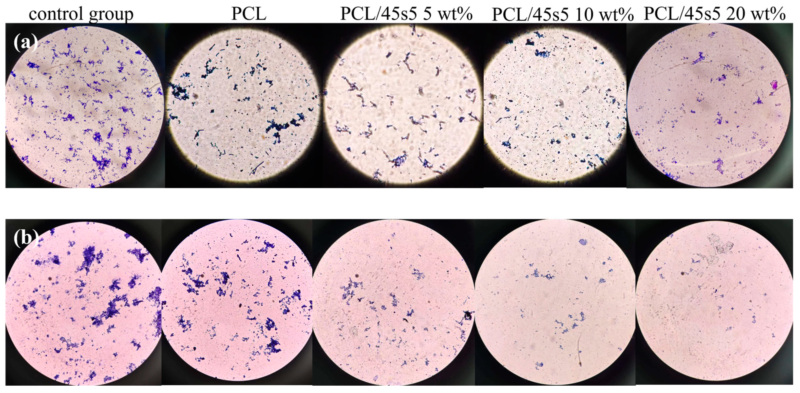 Polymers 16 03379 g010