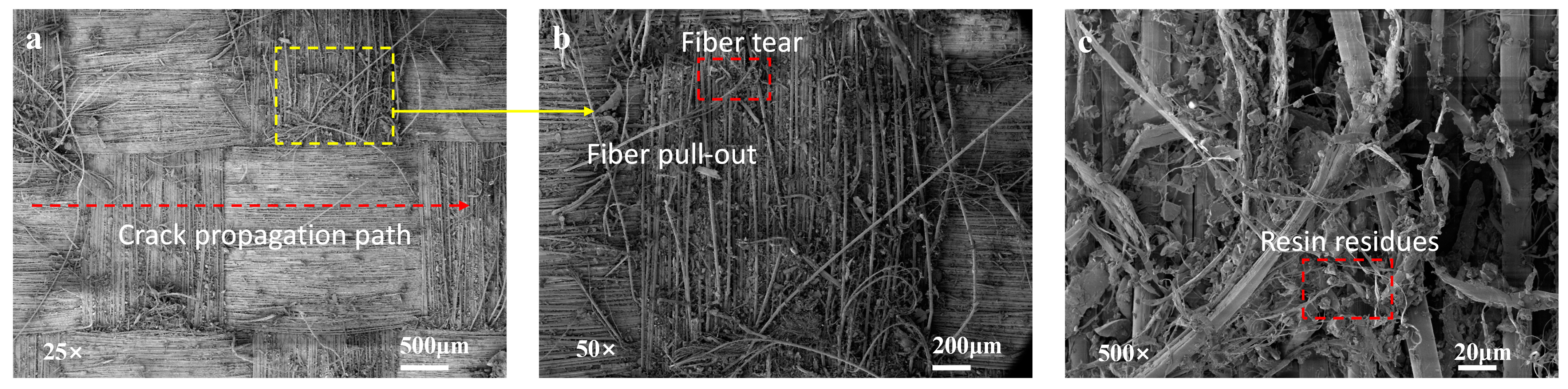 Polymers 16 03380 g007