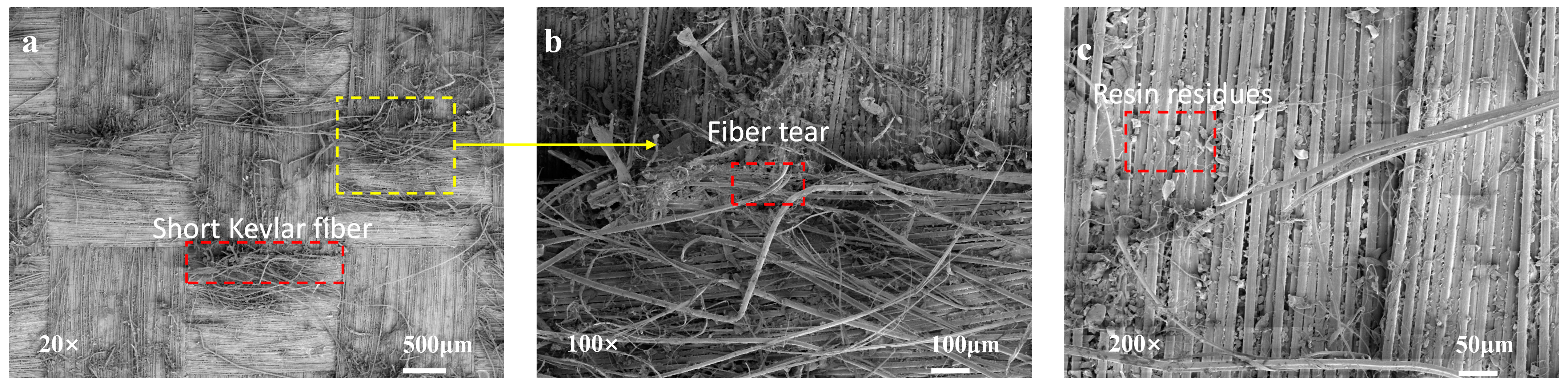 Polymers 16 03380 g008