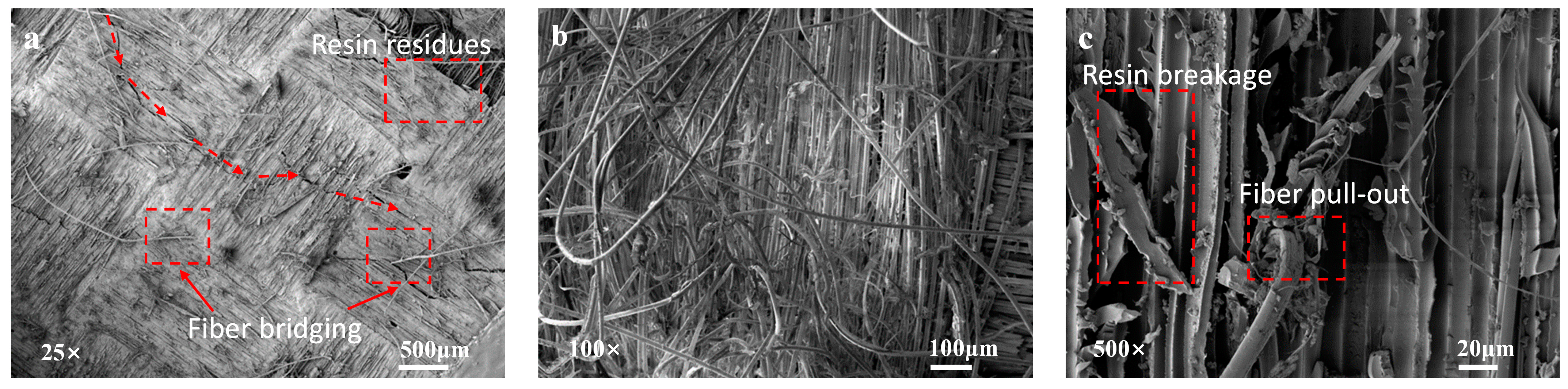 Polymers 16 03380 g009