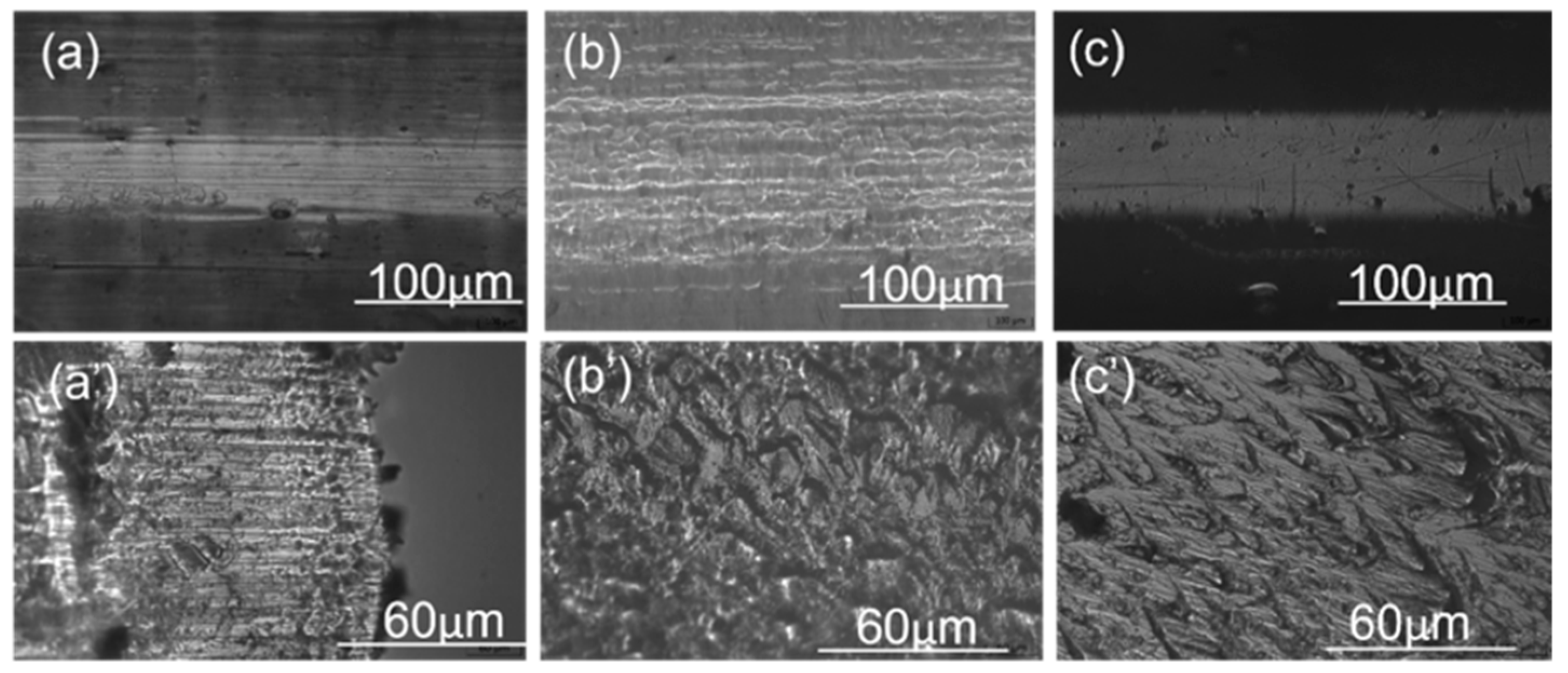 Polymers 16 03384 g007 Polymers 16 03384 g007