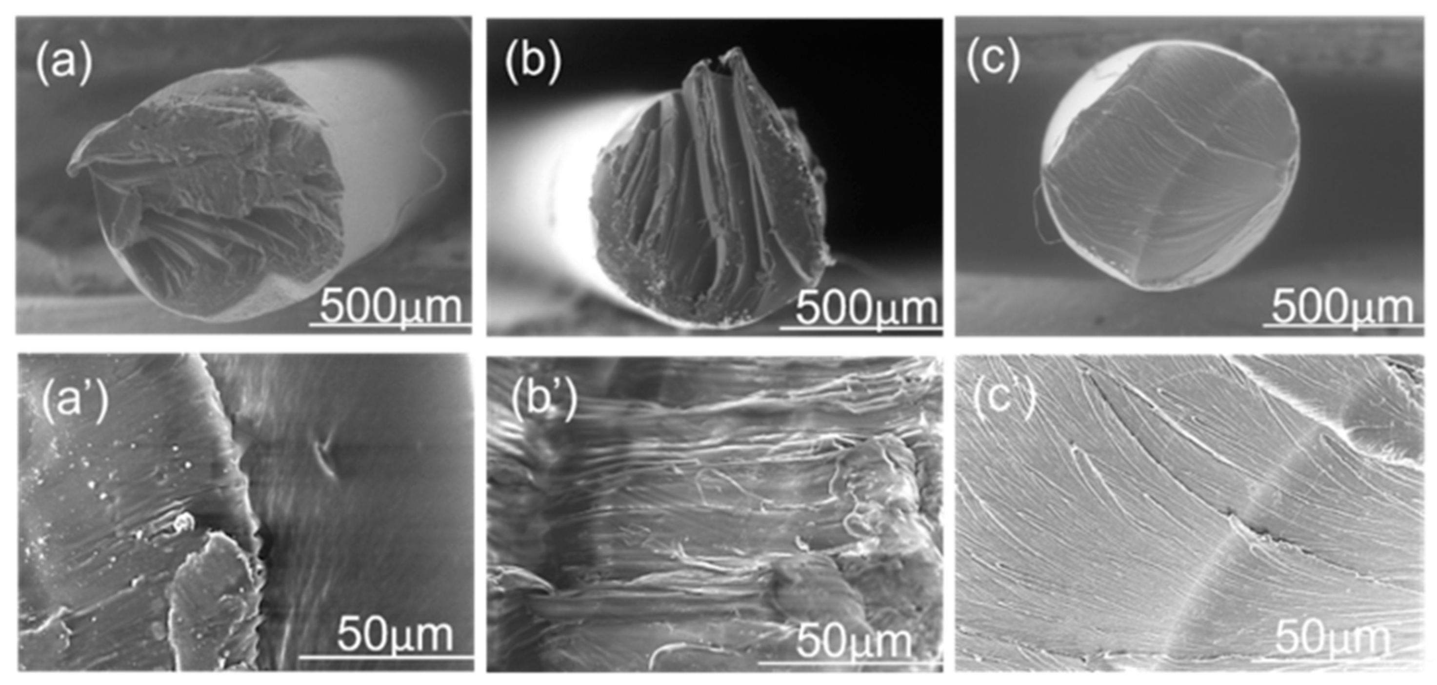 Polymers 16 03384 g008 Polymers 16 03384 g008