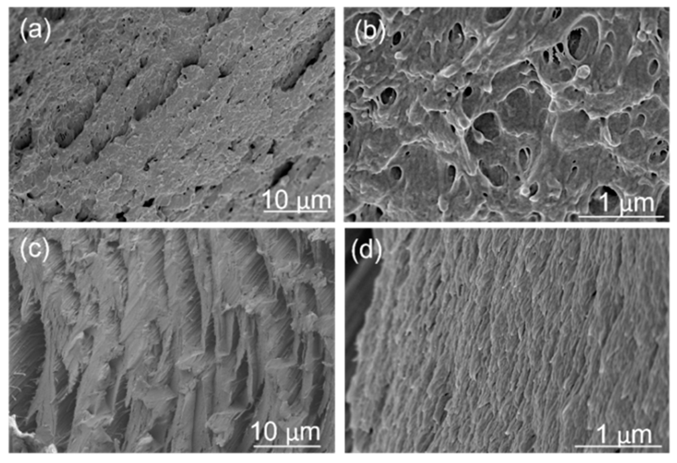 Polymers 16 03384 g009 Polymers 16 03384 g009