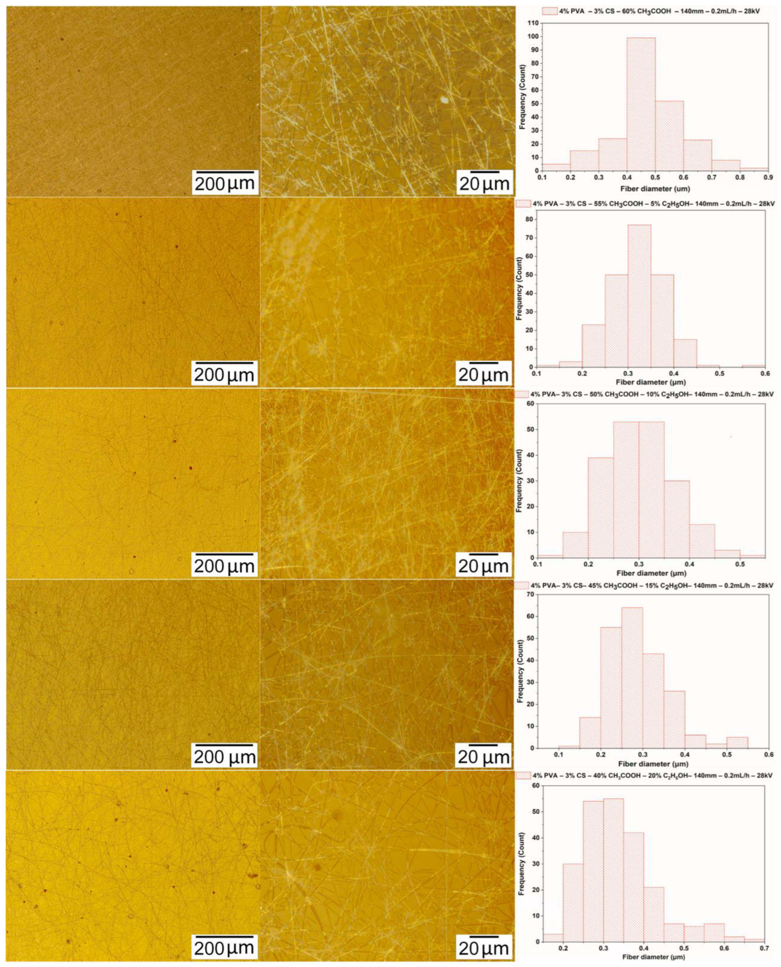 Polymers 16 03393 g006