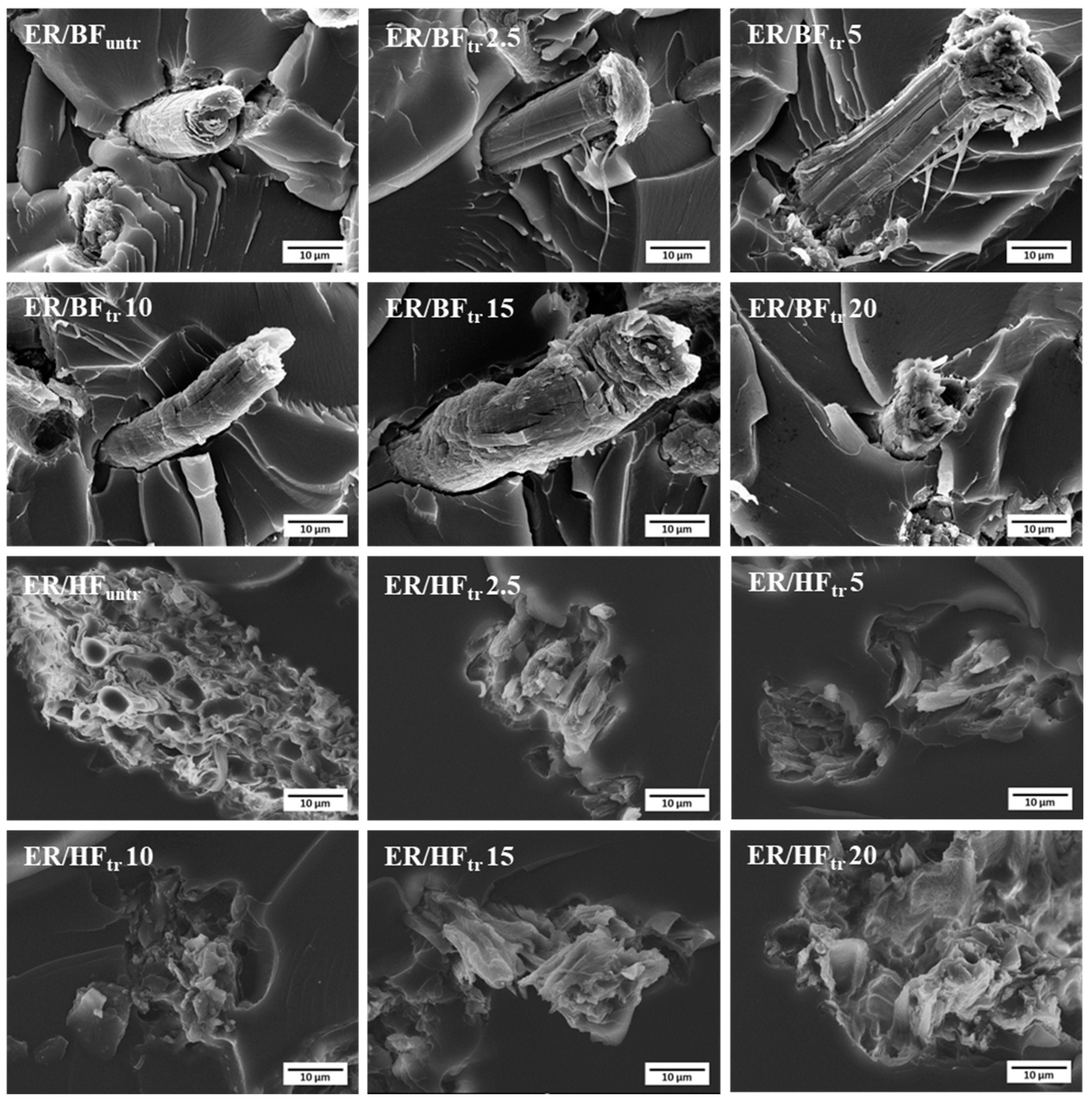 Polymers 16 03394 g004 Polymers 16 03394 g004