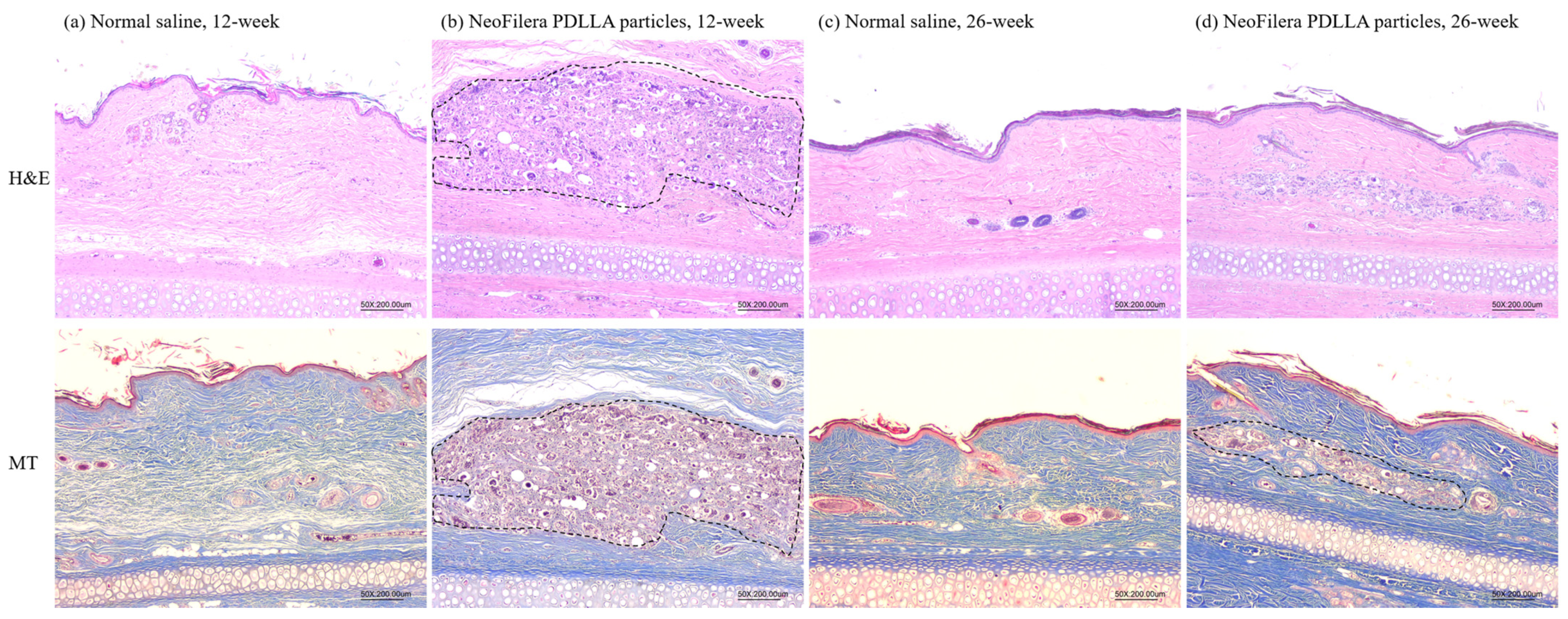 Polymers 16 03395 g005