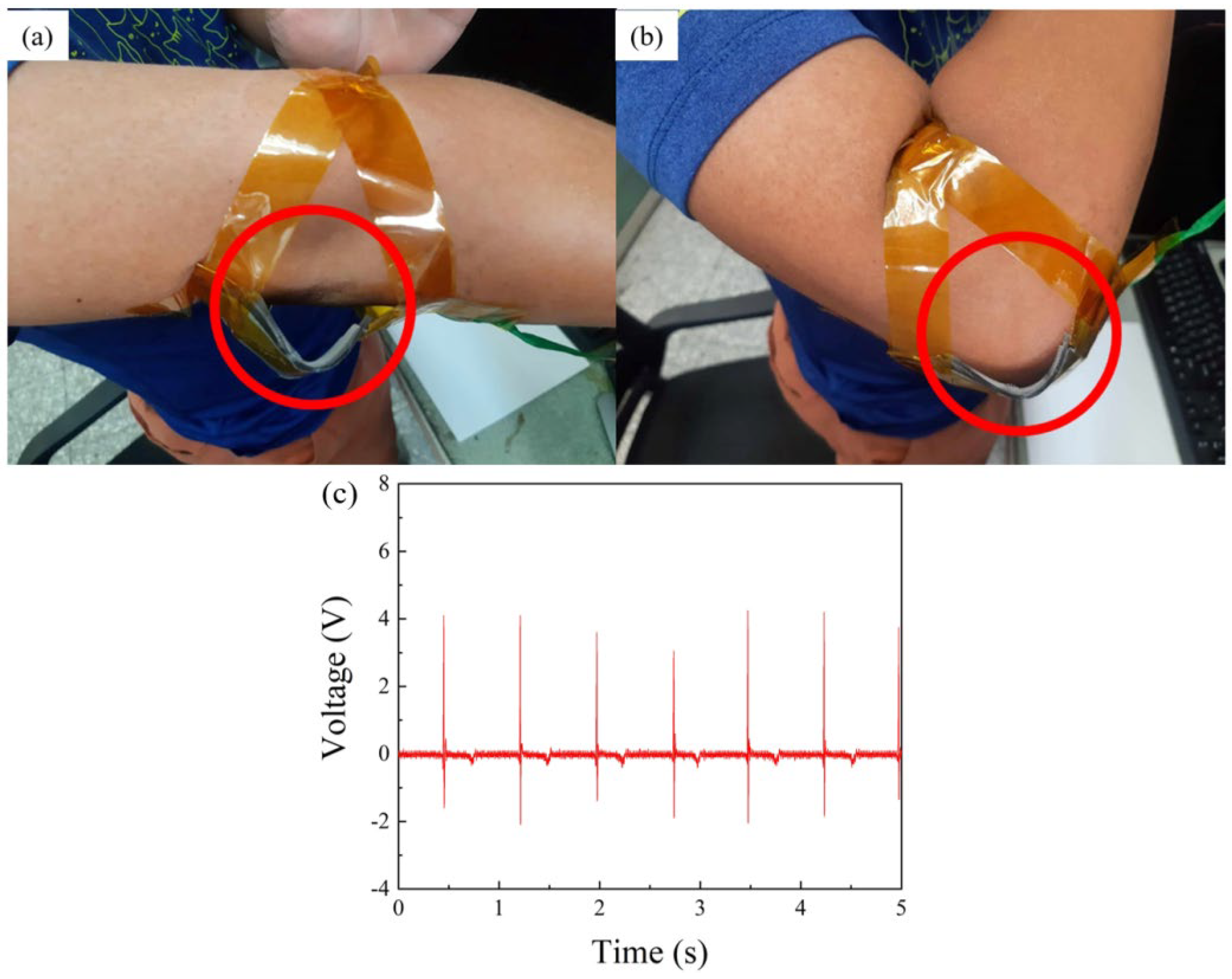 Polymers 16 03397 g006