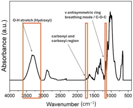 Polymers 16 03401 g001