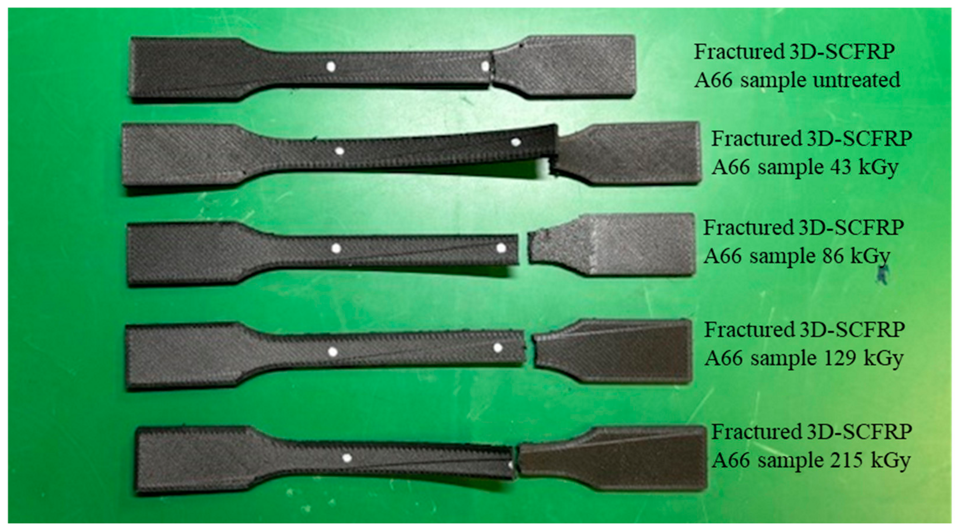 Polymers 16 03408 g005