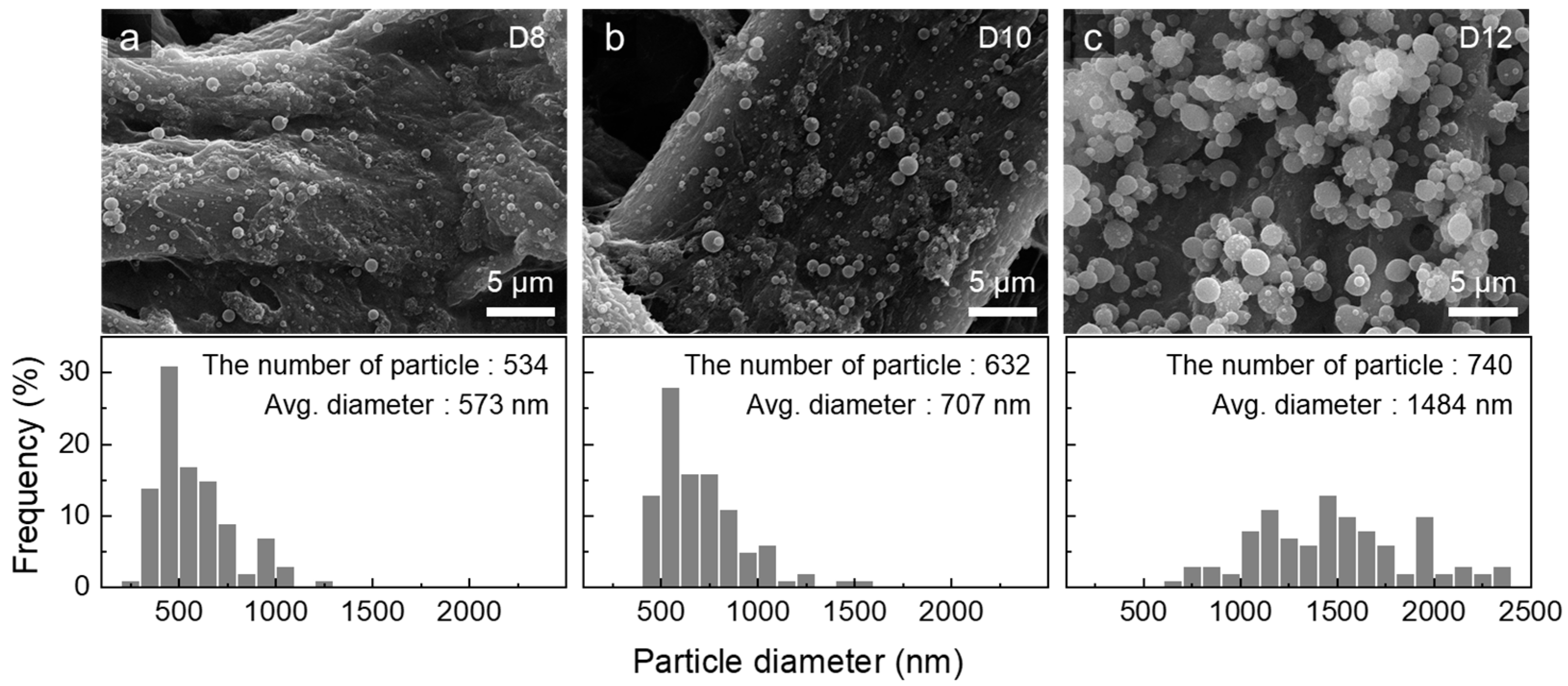 Polymers 16 03414 g005 Polymers 16 03414 g005