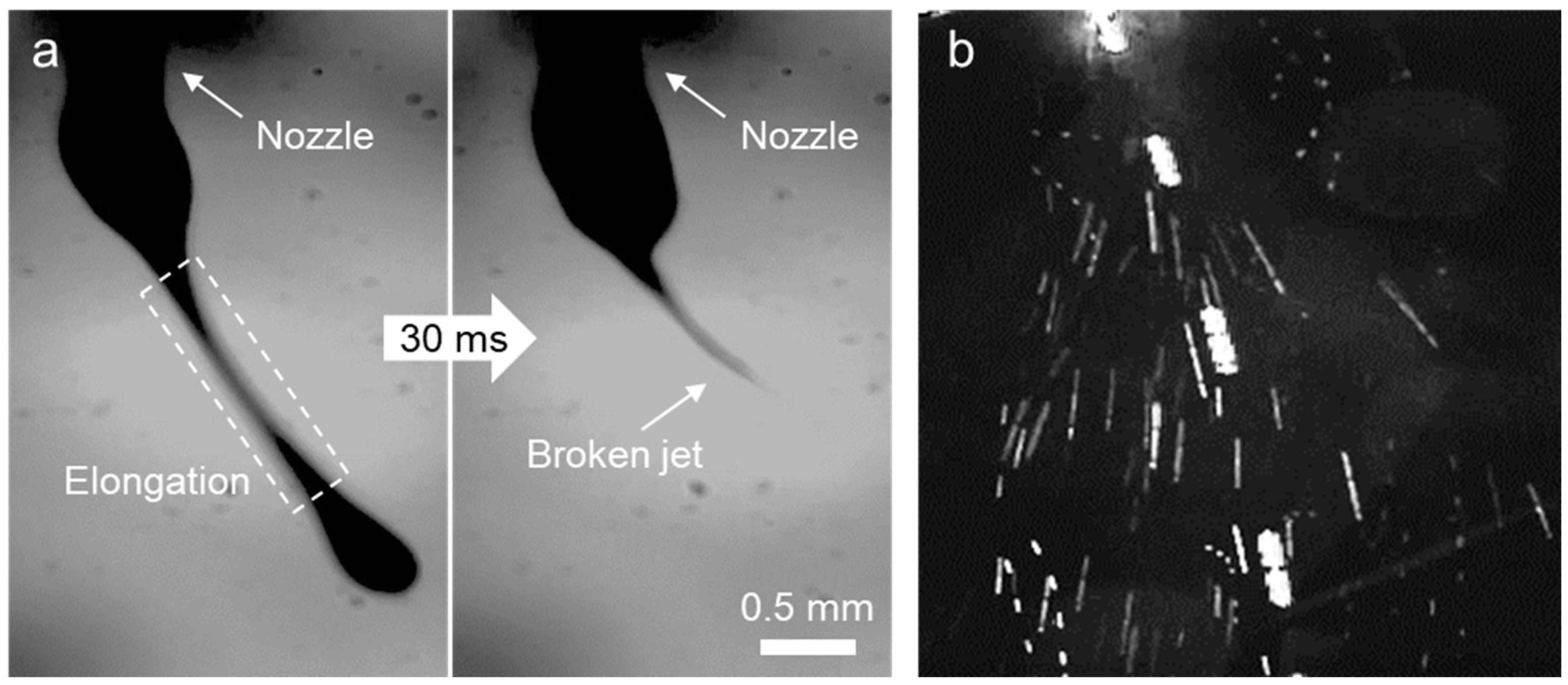 Polymers 16 03414 g007 Polymers 16 03414 g007