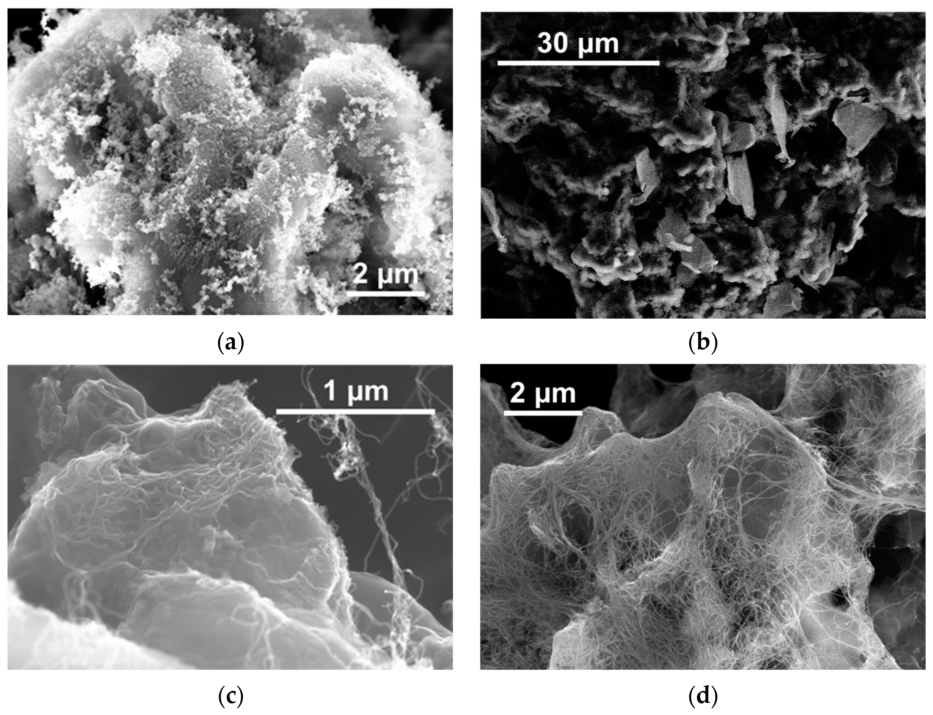 Polymers 16 03423 g006